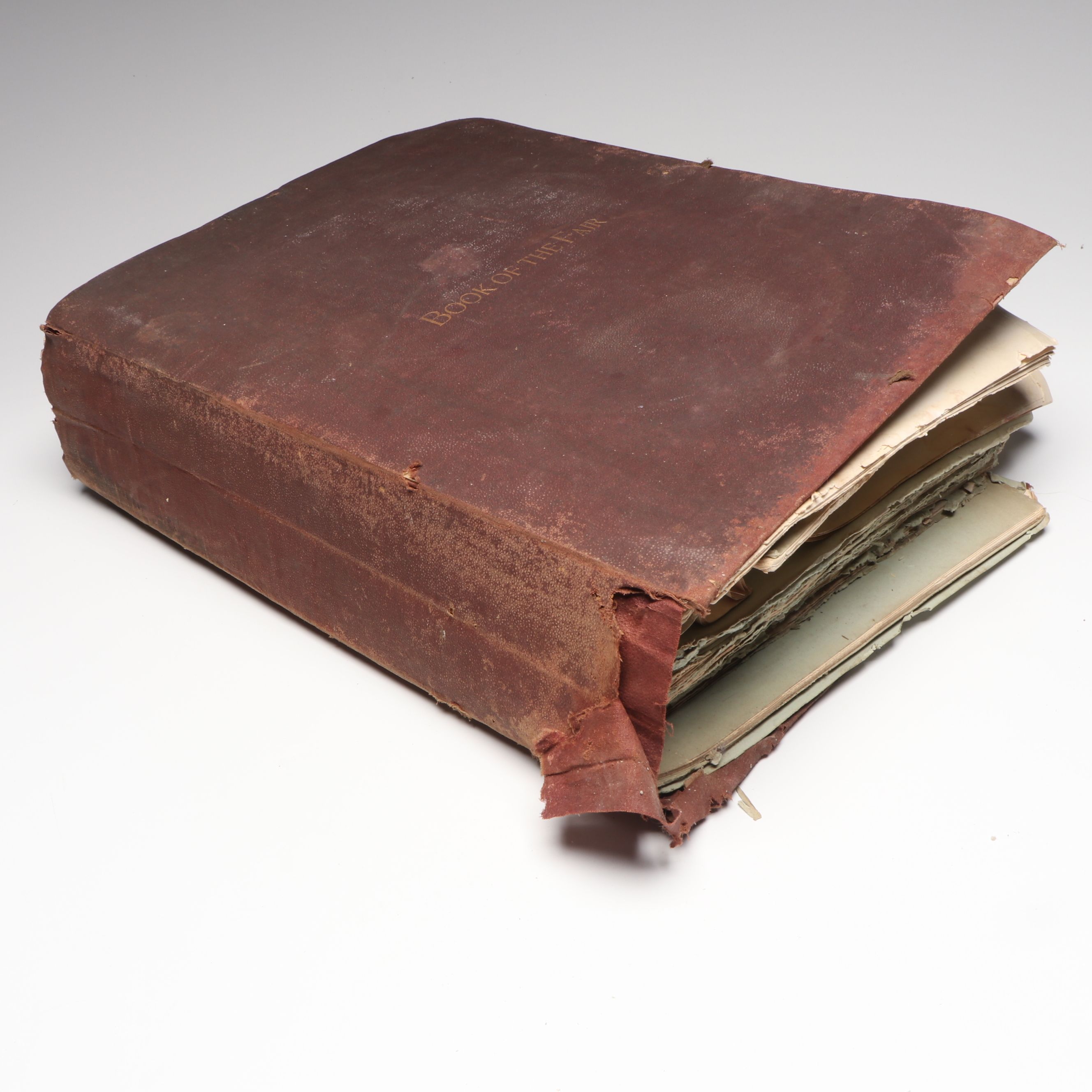 "The Book of the Fair" 1893 World's Columbian Expo Documentation Booklets, 1894