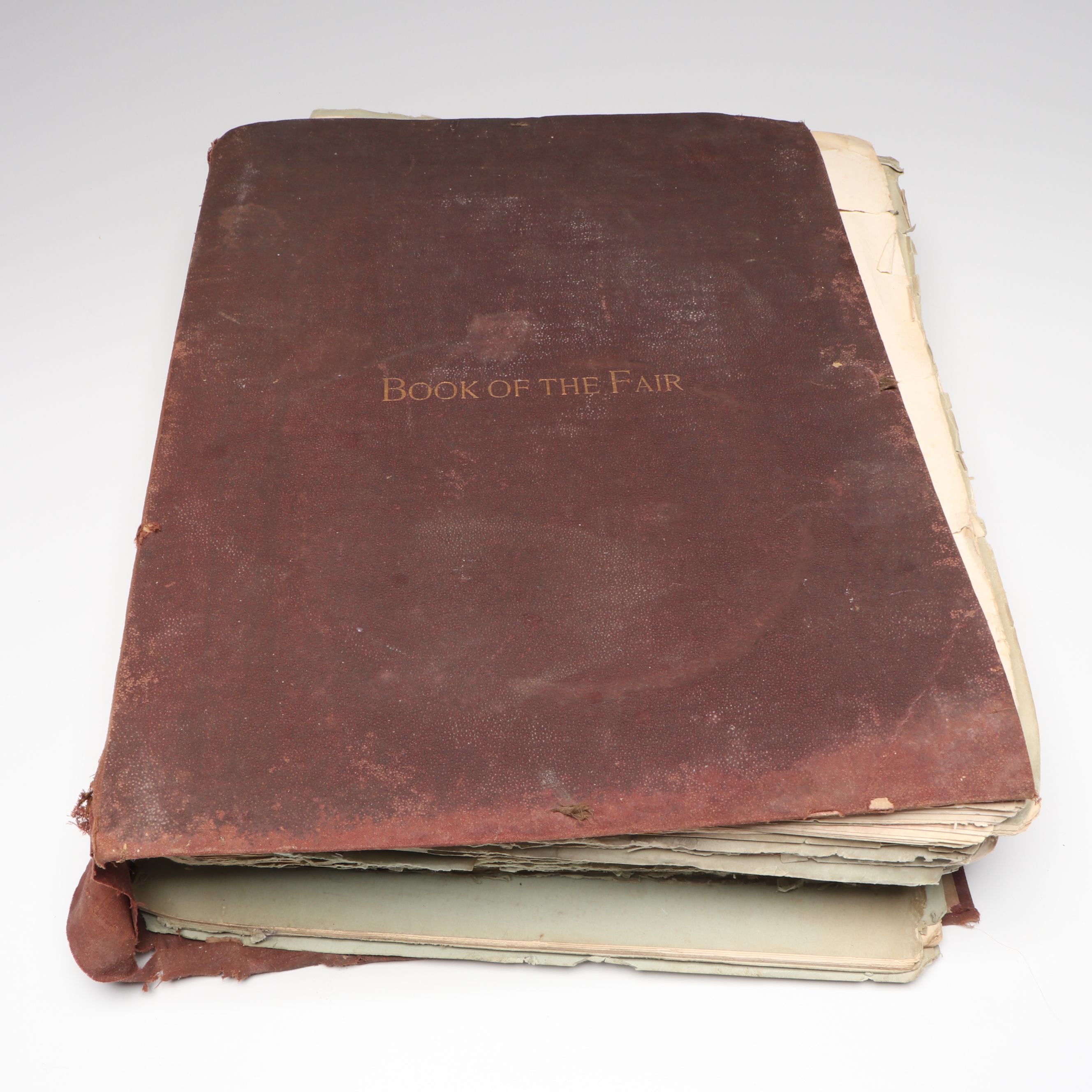 "The Book of the Fair" 1893 World's Columbian Expo Documentation Booklets, 1894