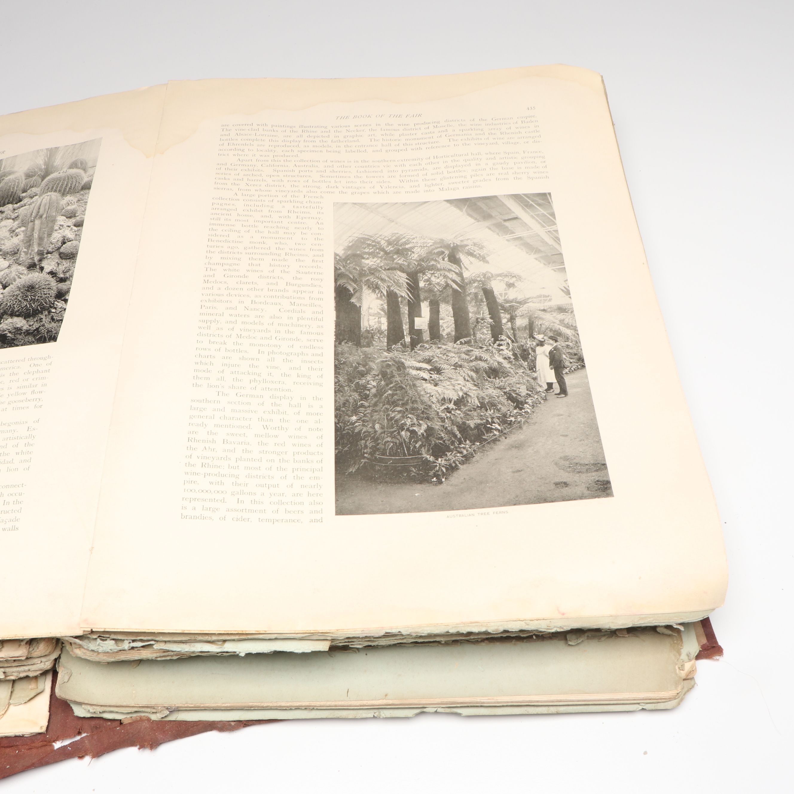 "The Book of the Fair" 1893 World's Columbian Expo Documentation Booklets, 1894