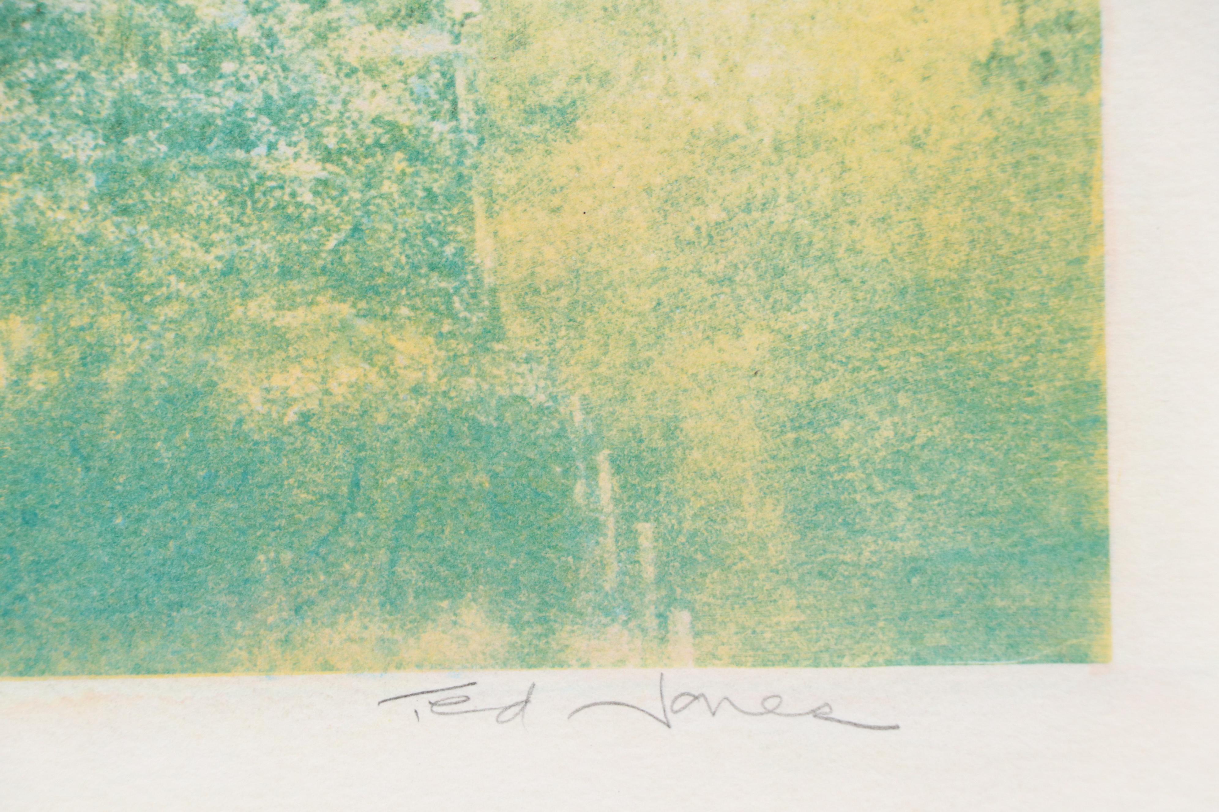 Ted Jones Gum Bichromatic Print of Landscape, Circa 1989