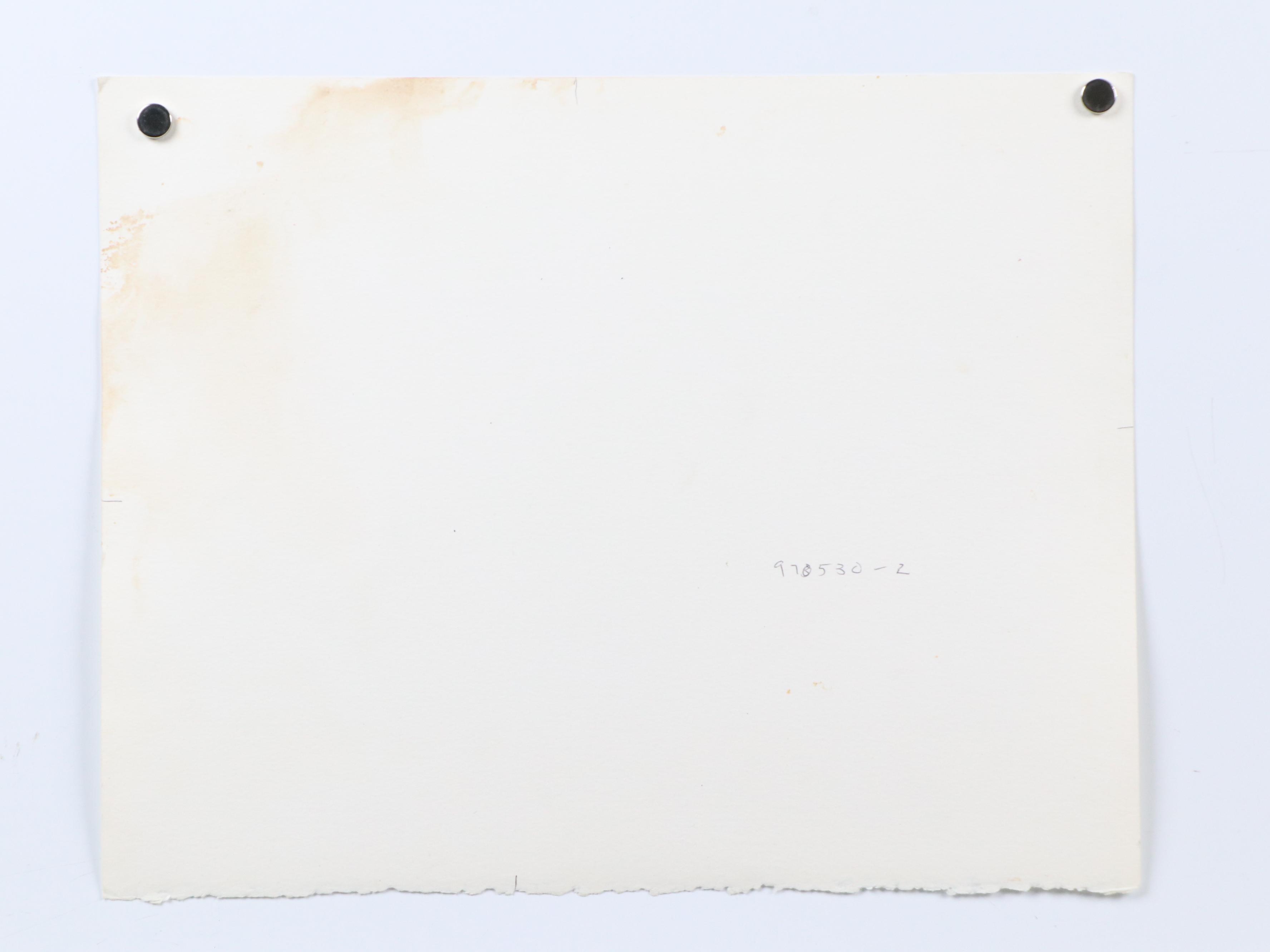 Ted Jones Gum Bichromatic Print of Landscape, Circa 1989