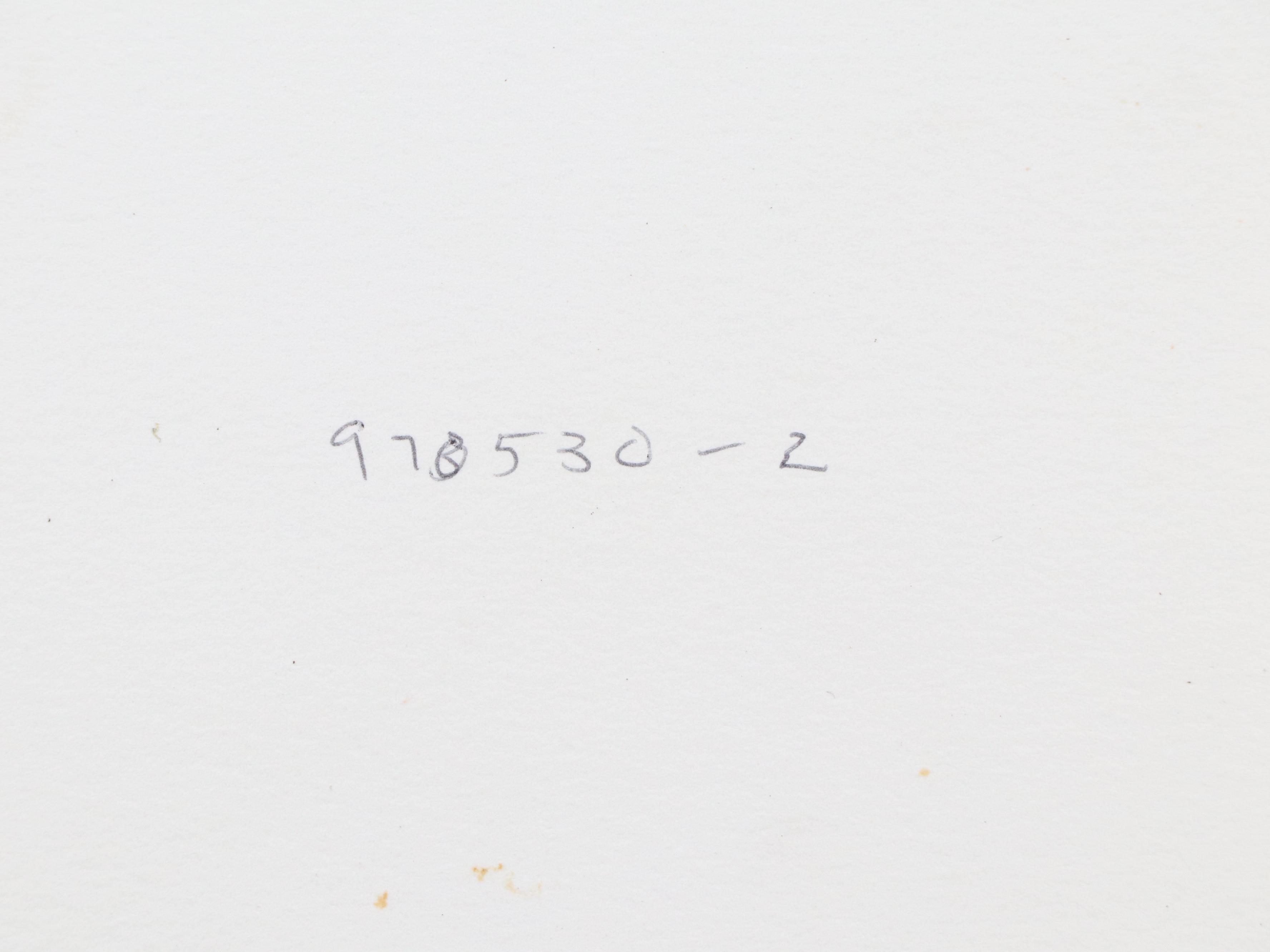 Ted Jones Gum Bichromatic Print of Landscape, Circa 1989