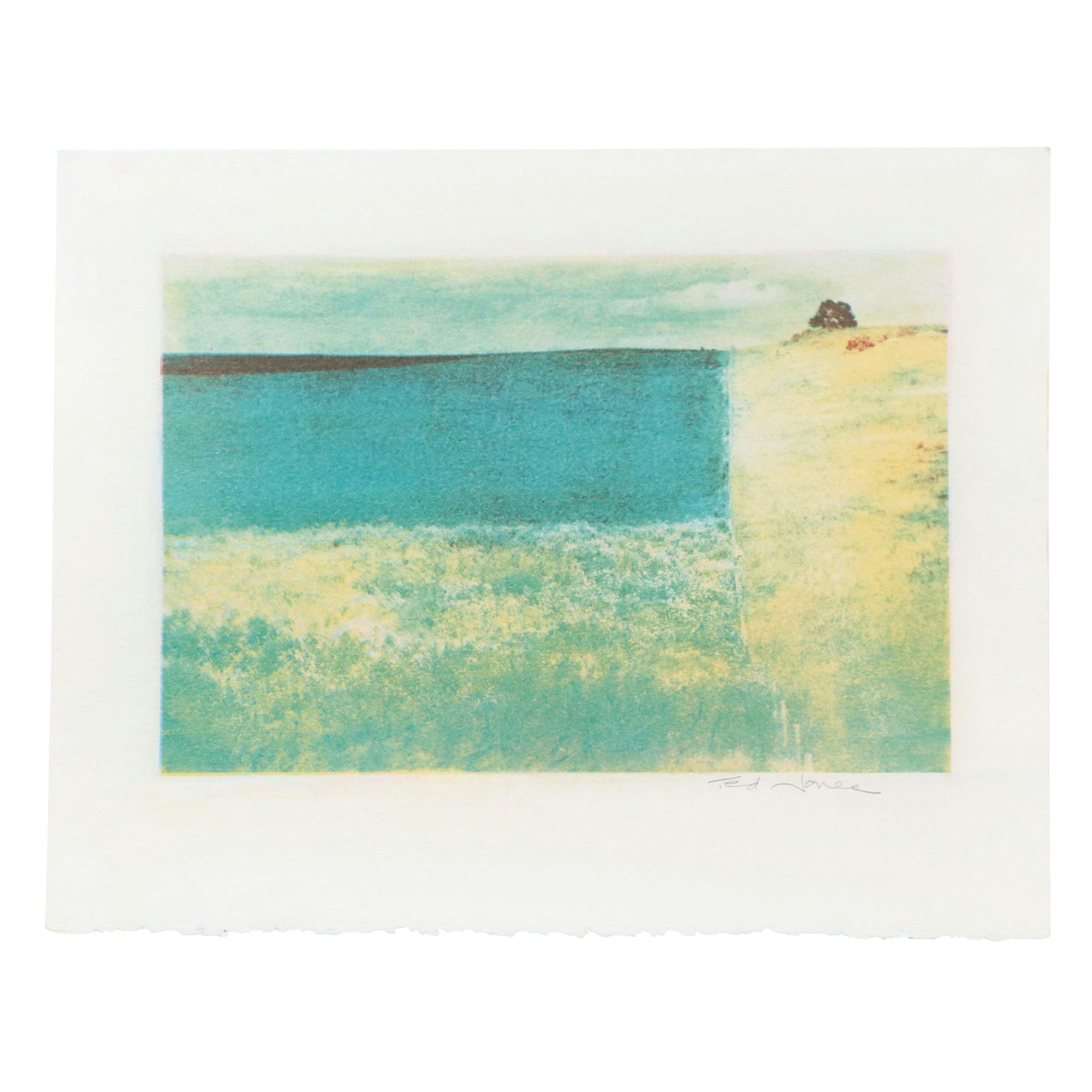 Ted Jones Gum Bichromatic Print of Landscape, Circa 1989