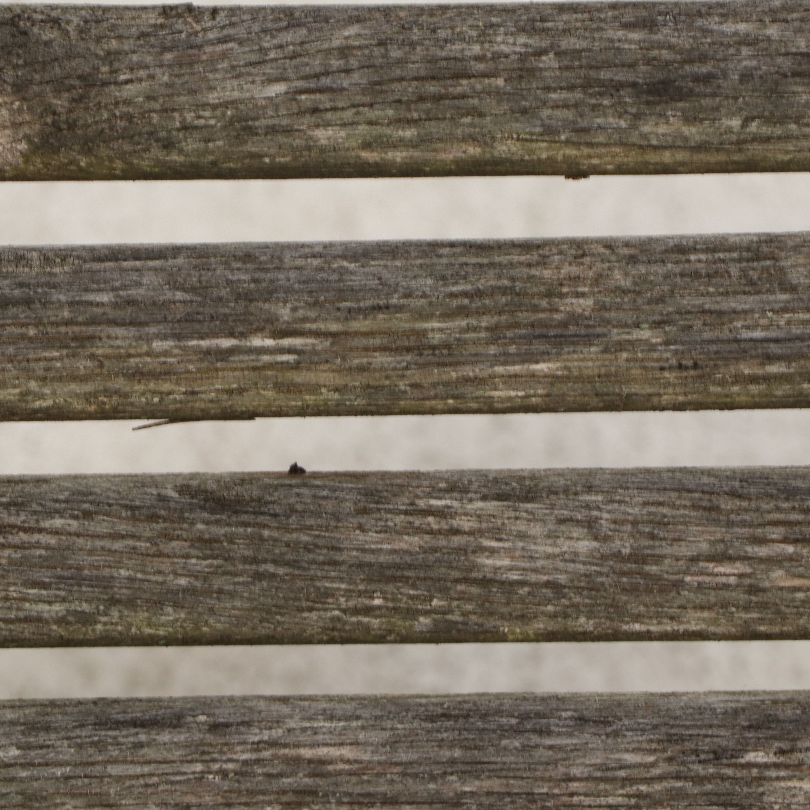 Wooden Slat Garden Bench