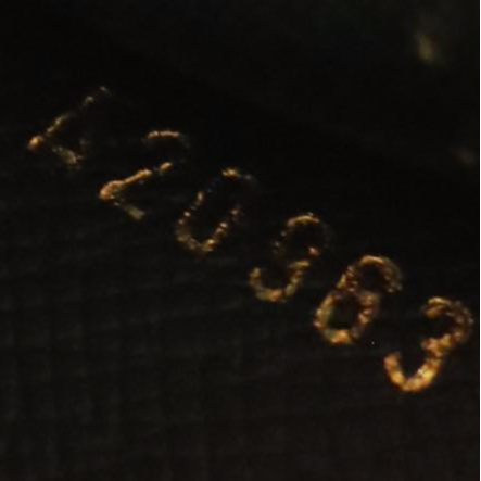 Louis Vuitton Pochette Homme Clutch in Cipango Gold Epi Leather