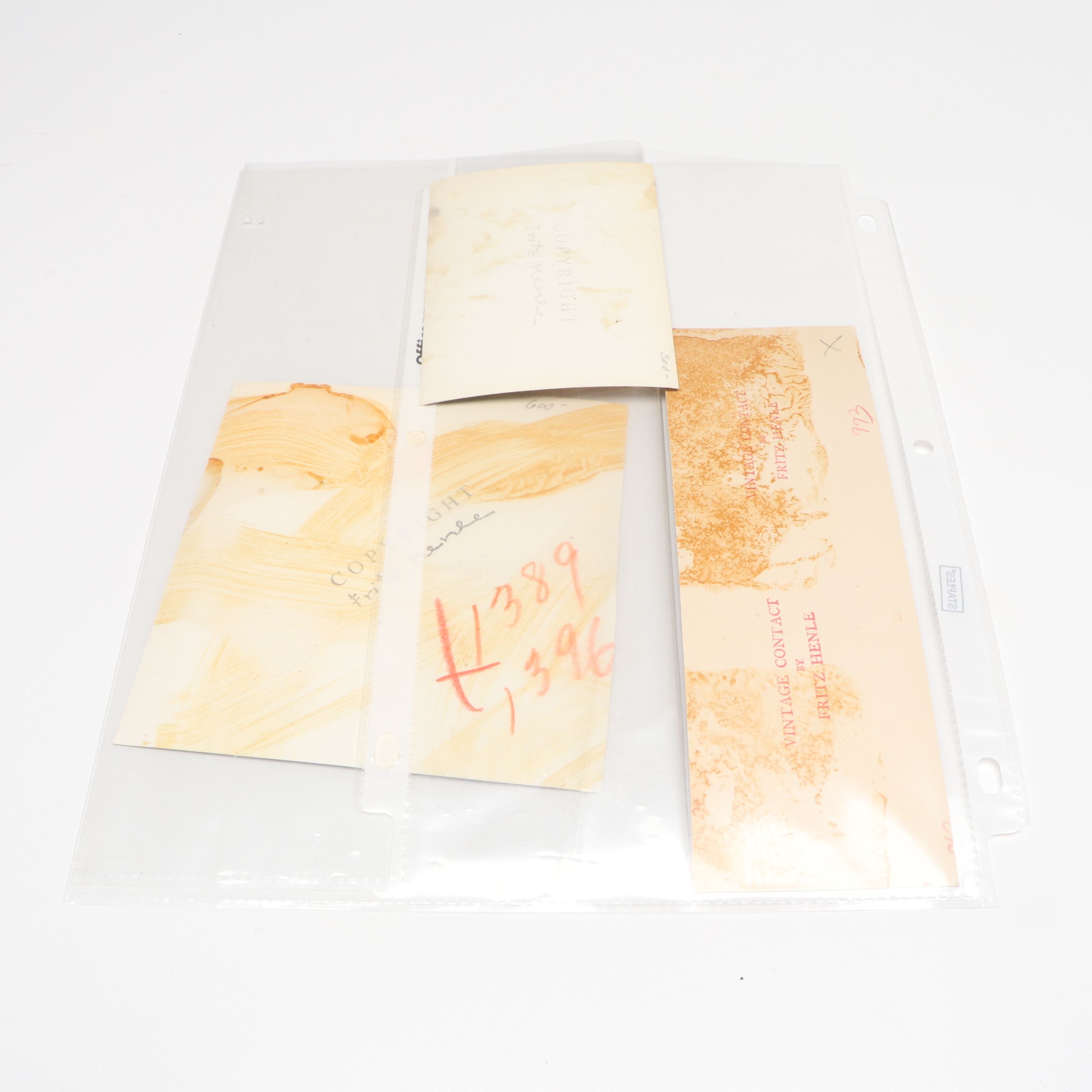 Photographs by Fritz Henle with Ansel Adams Portrait and Other Notable Persons