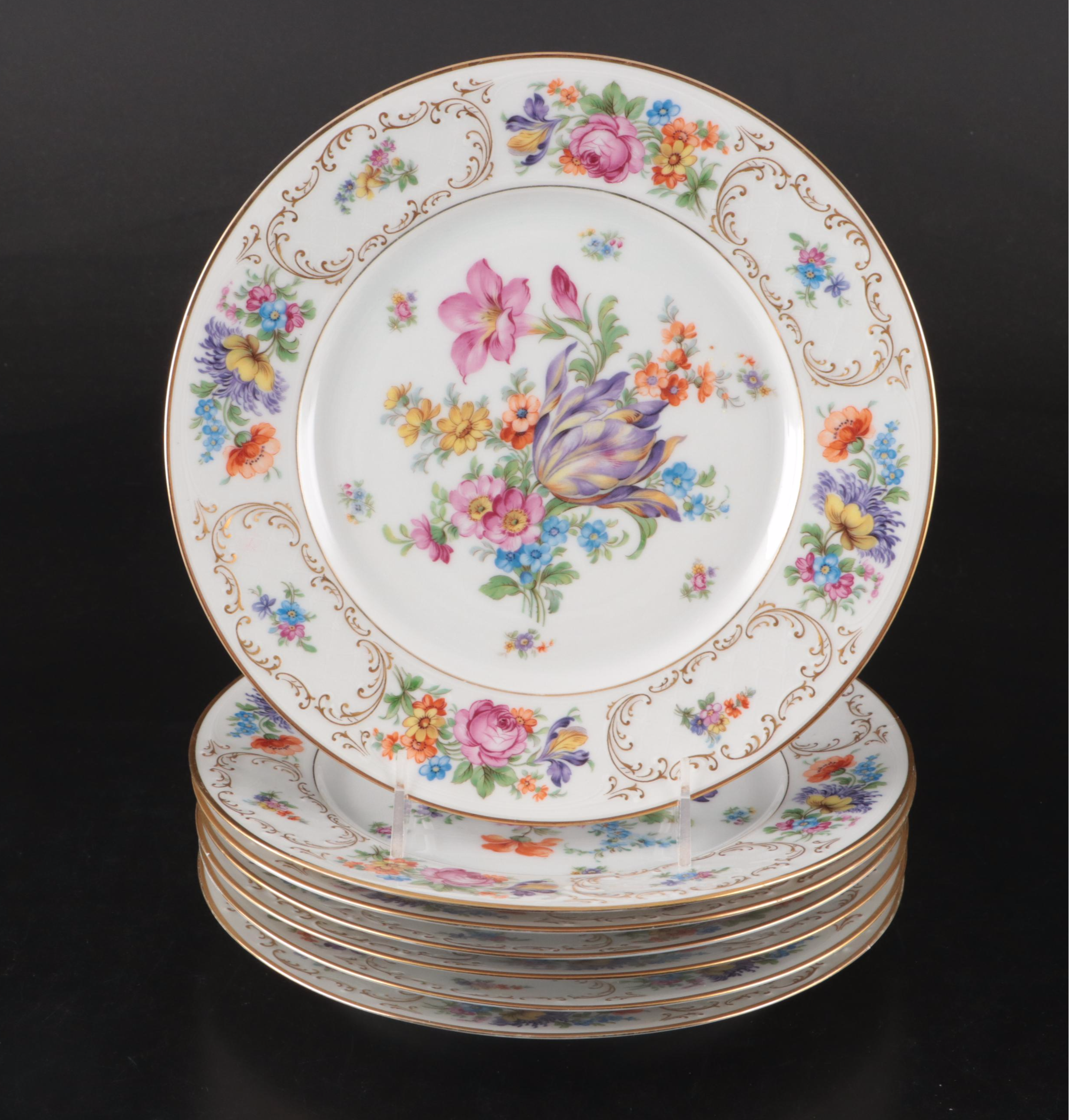 Tirschenreuth "Dresden" Porcelain Dinnerware with Schumann Tray