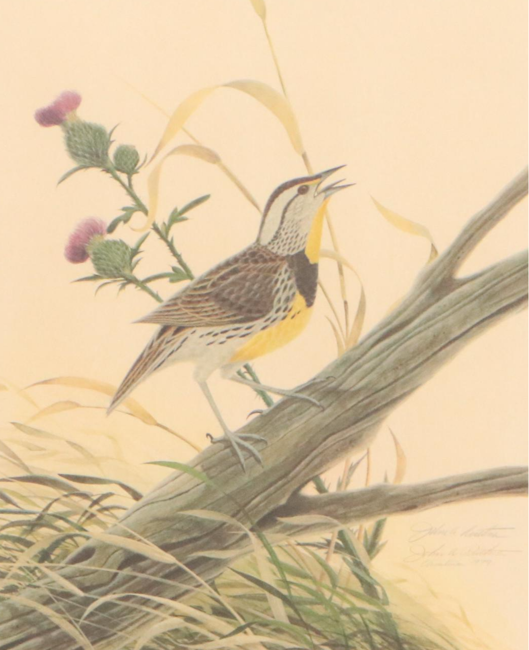 John A. Ruthven Ornithological Offset Lithograph "Meadowlark," 1979
