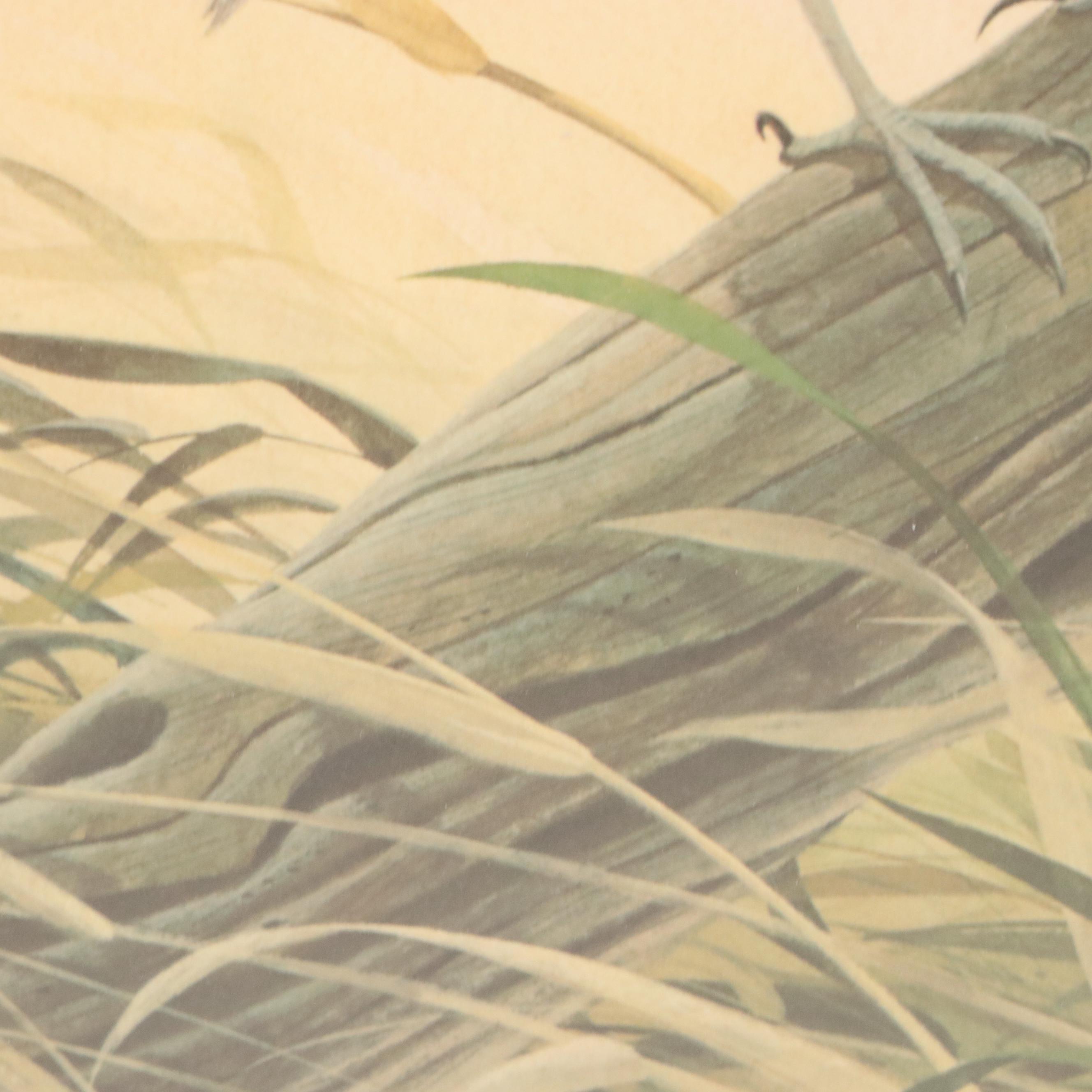 John A. Ruthven Ornithological Offset Lithograph "Meadowlark," 1979