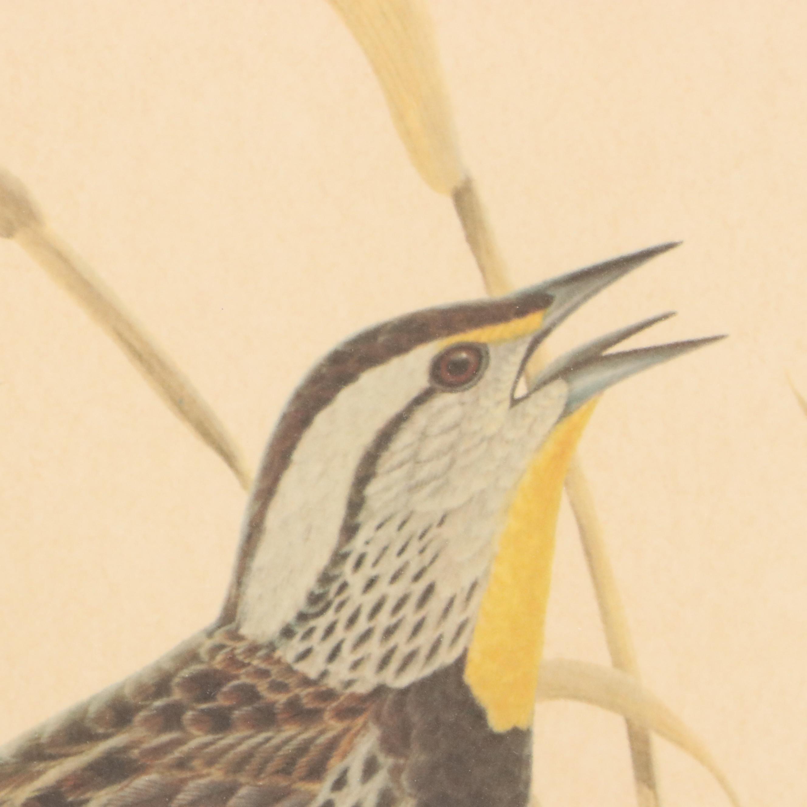 John A. Ruthven Ornithological Offset Lithograph "Meadowlark," 1979