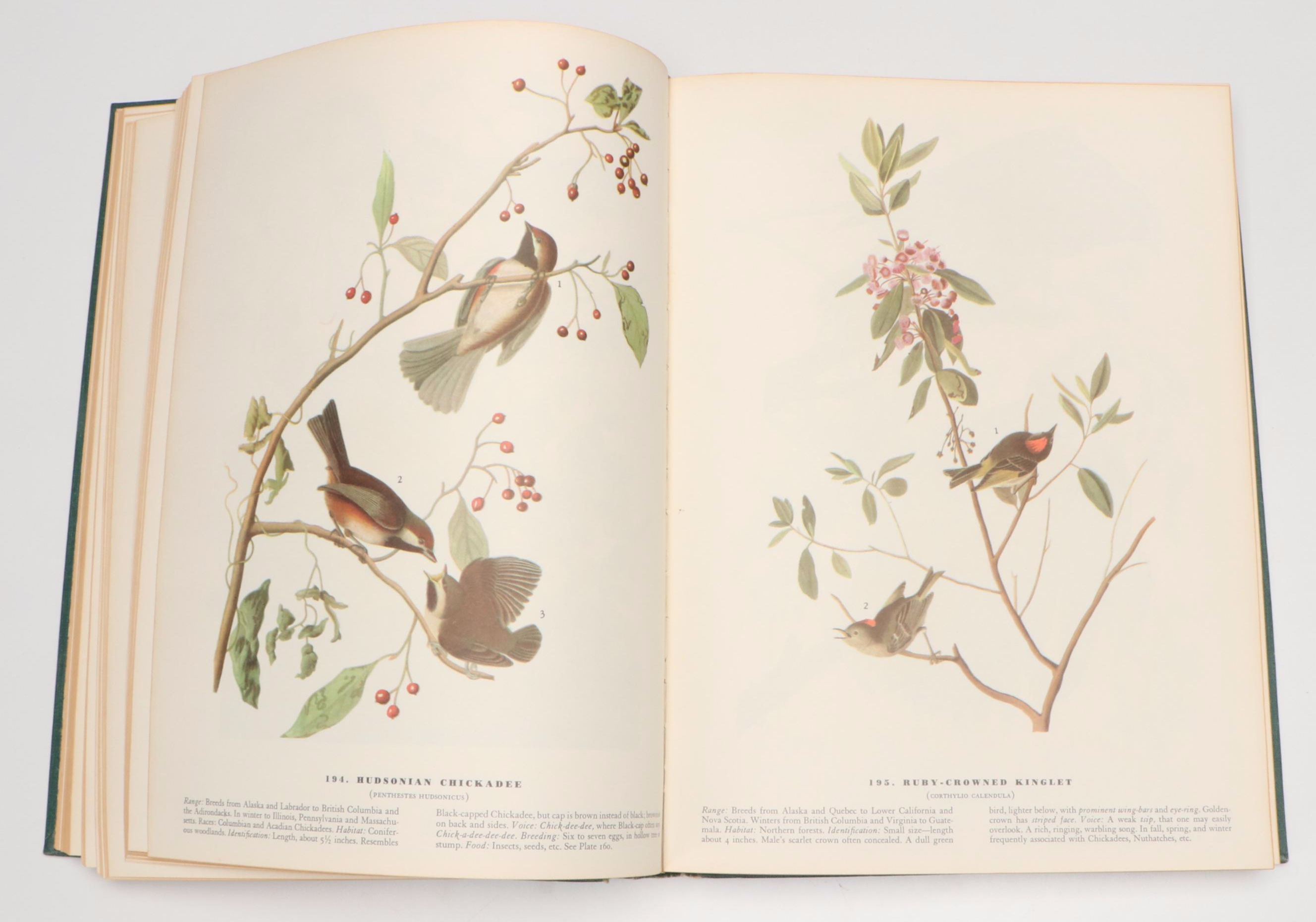 Sixth Printing "The Birds of America" by John James Audubon, 1962