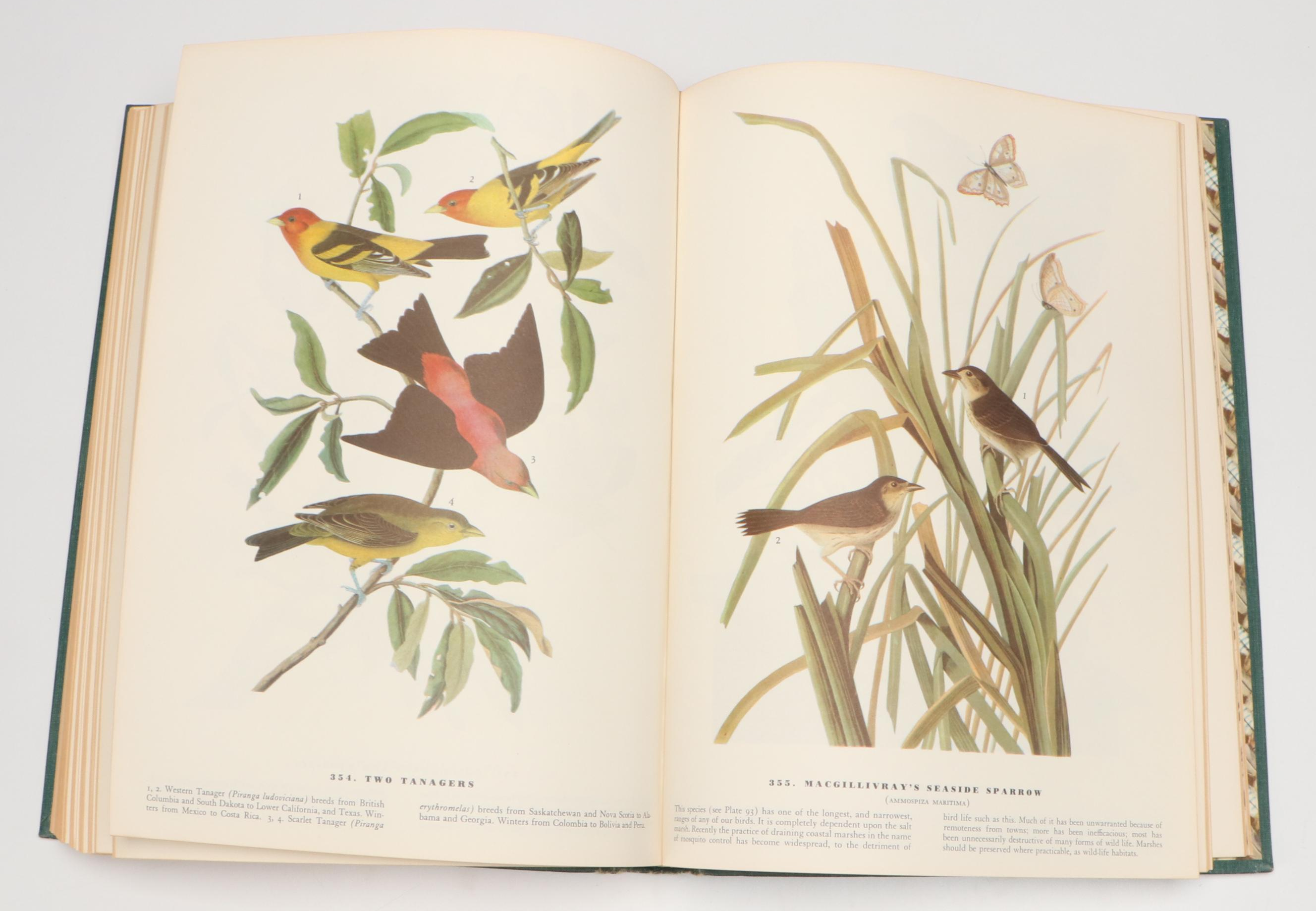 Sixth Printing "The Birds of America" by John James Audubon, 1962