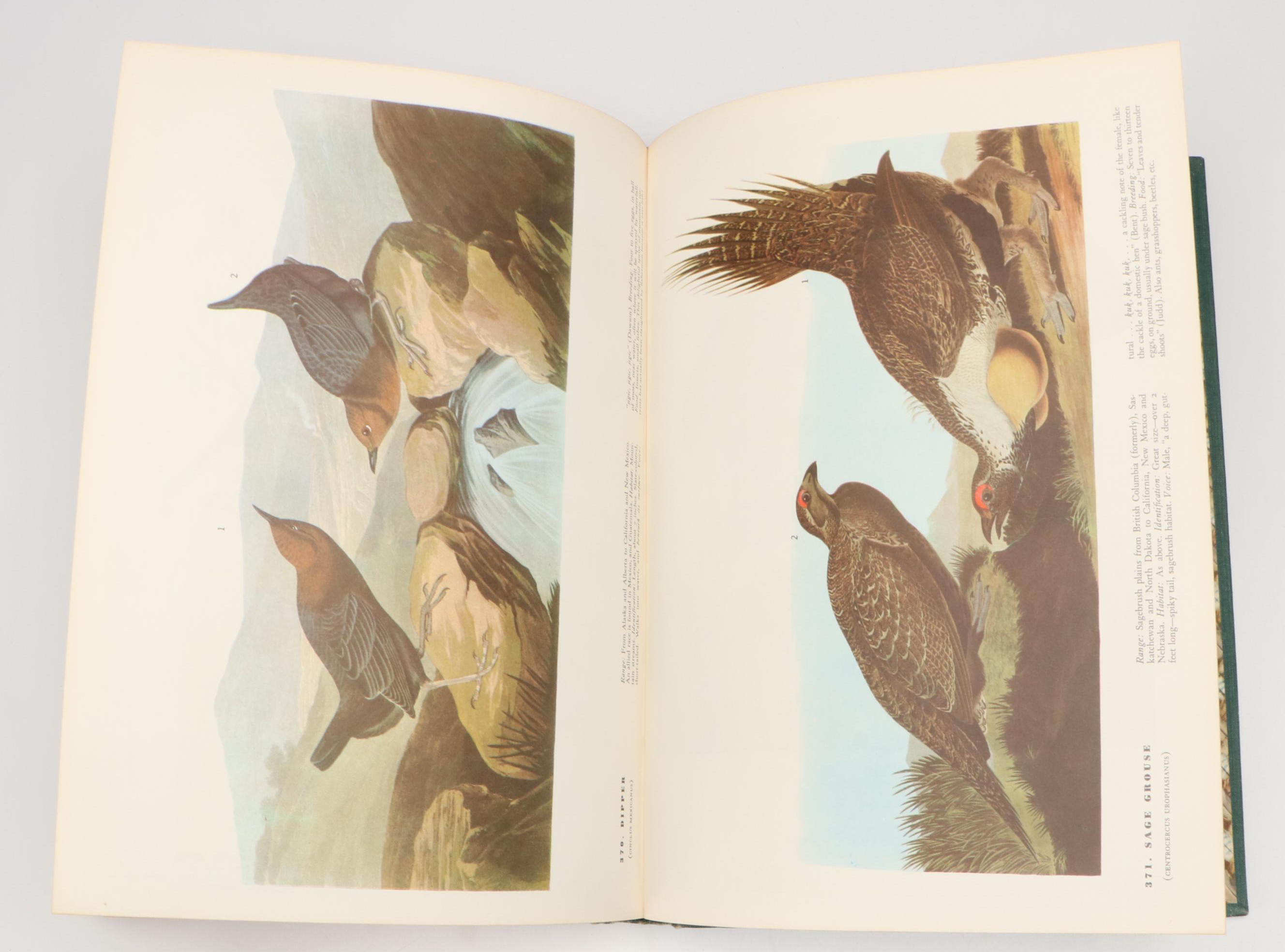 Sixth Printing "The Birds of America" by John James Audubon, 1962