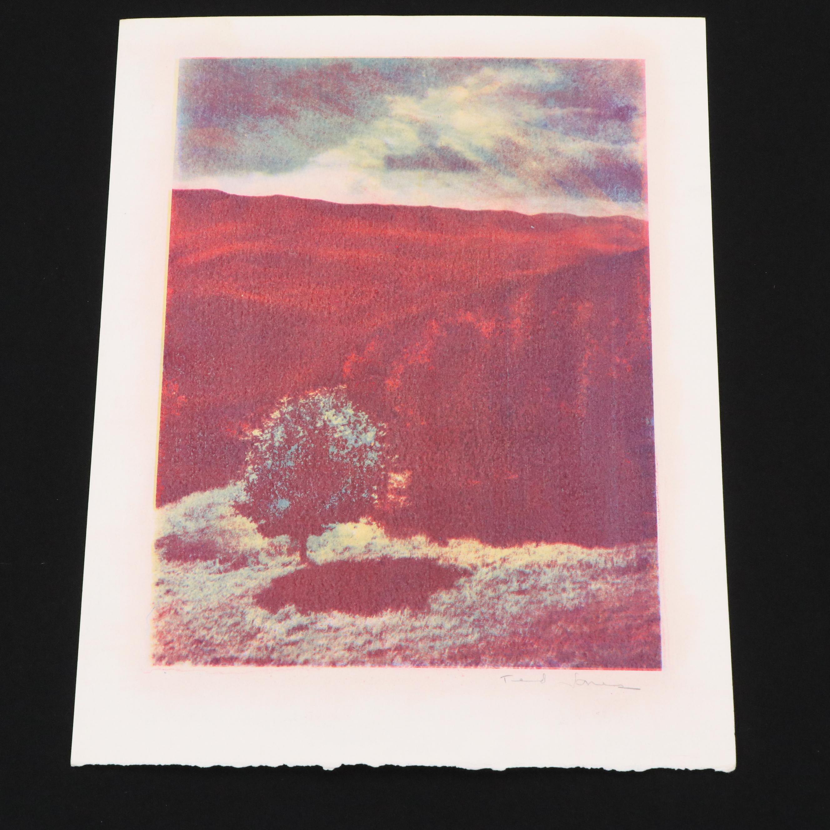 Ted Jones Figurative Gum Bichromatic Photographic Prints, Circa 1989