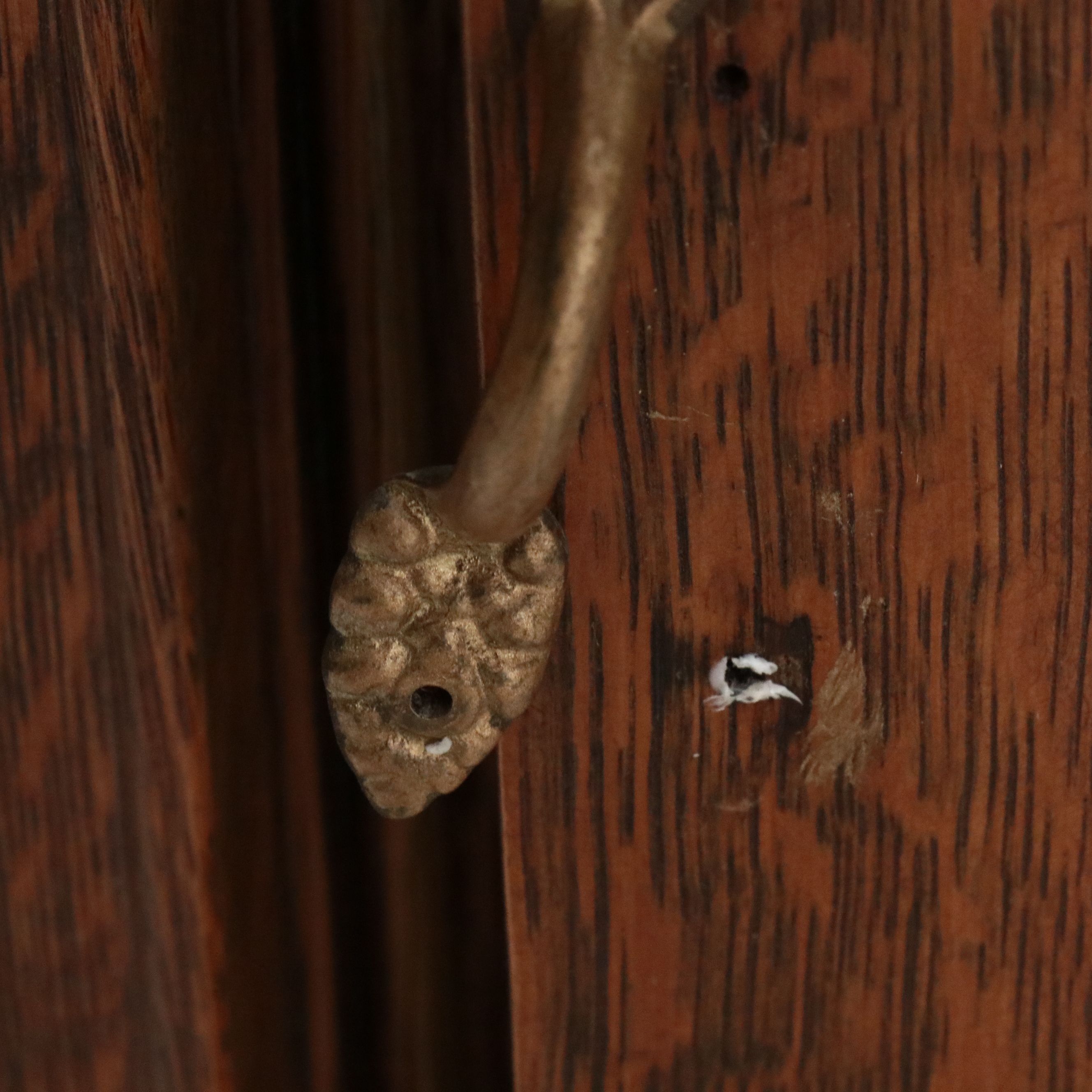 American Empire Revival Tiger Oak Bowfront Display Cabinet, Early 20th Century