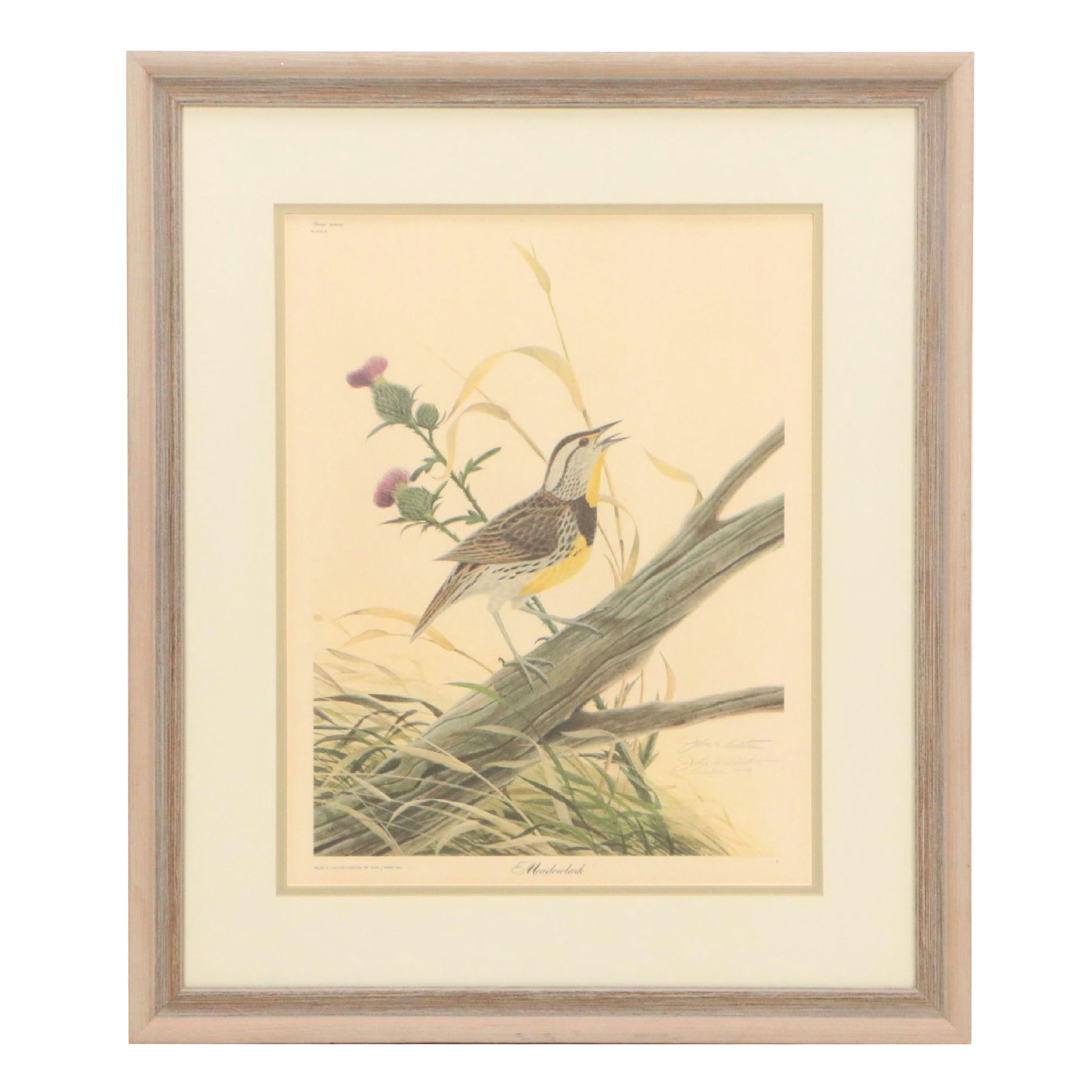 John A. Ruthven Ornithological Offset Lithograph "Meadowlark," 1979