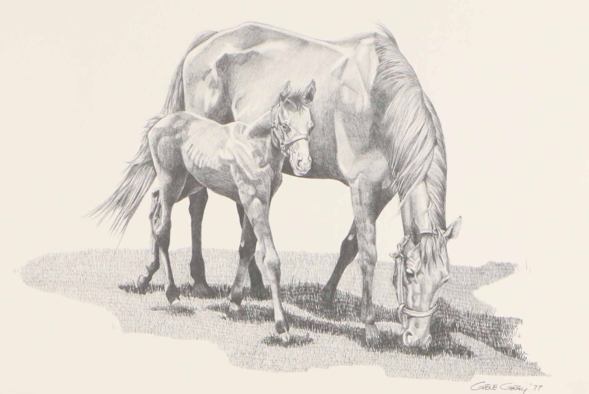 Gene Gray Halftone "Claiborne Farms Mare and Foal," Circa 1977