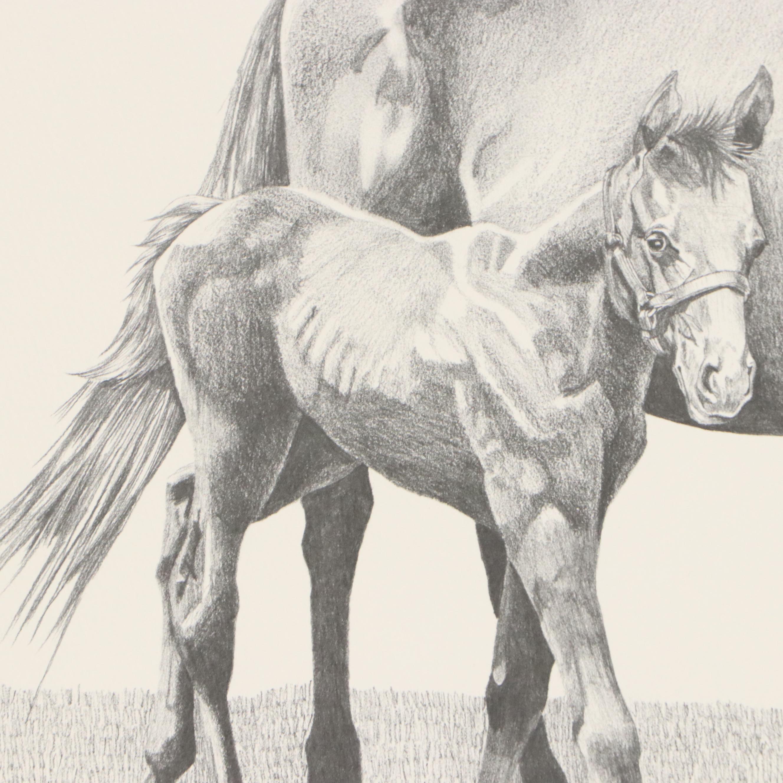 Gene Gray Halftone "Claiborne Farms Mare and Foal," Circa 1977