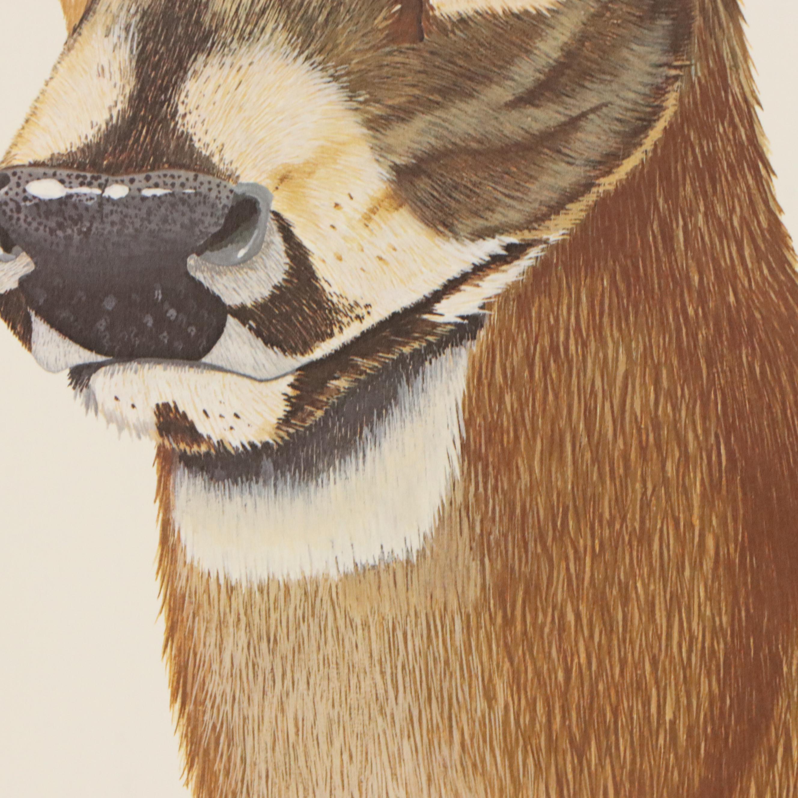 Gene Gray Offset Lithograph "White-Tailed Buck," Circa 1978