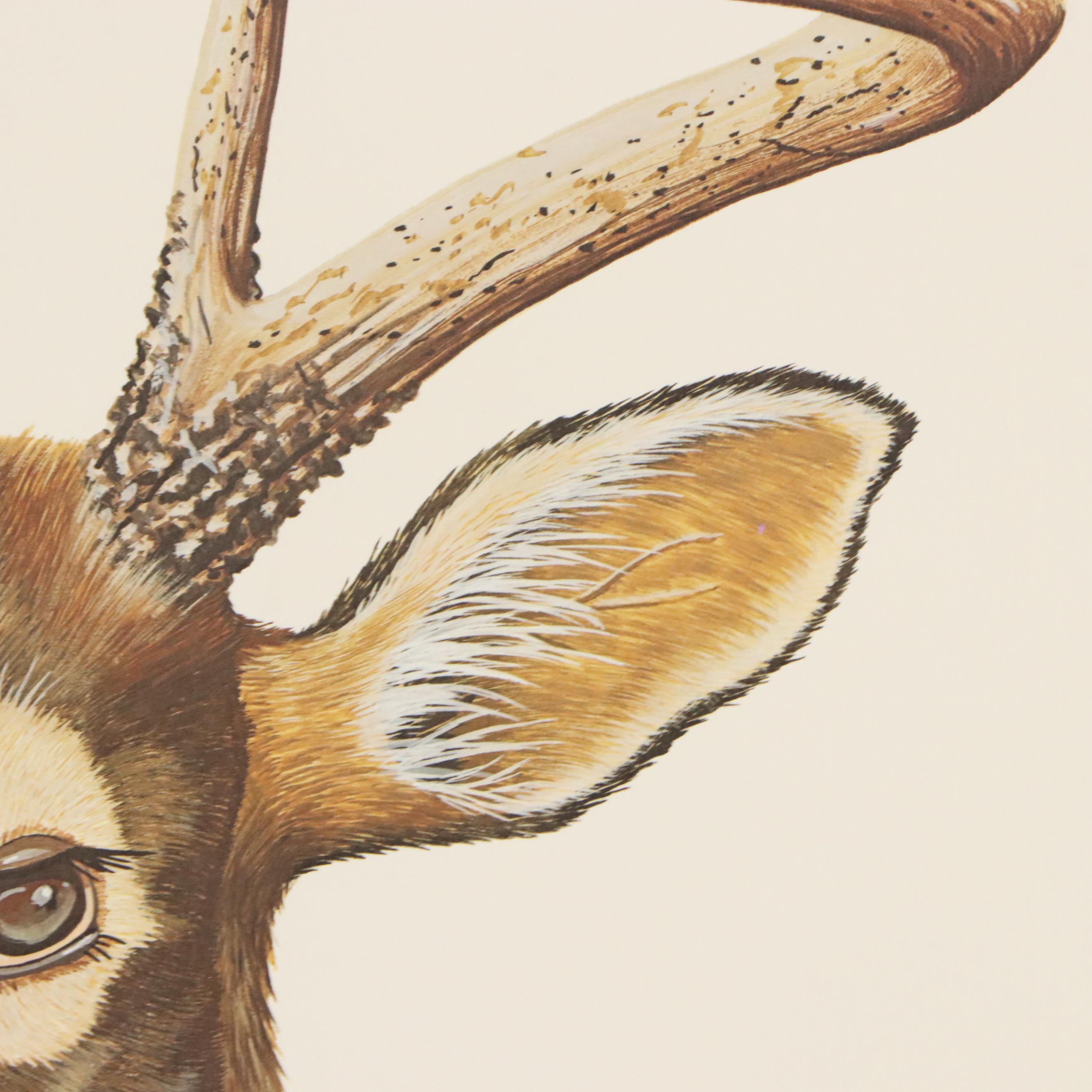 Gene Gray Offset Lithograph "White-Tailed Buck," Circa 1978