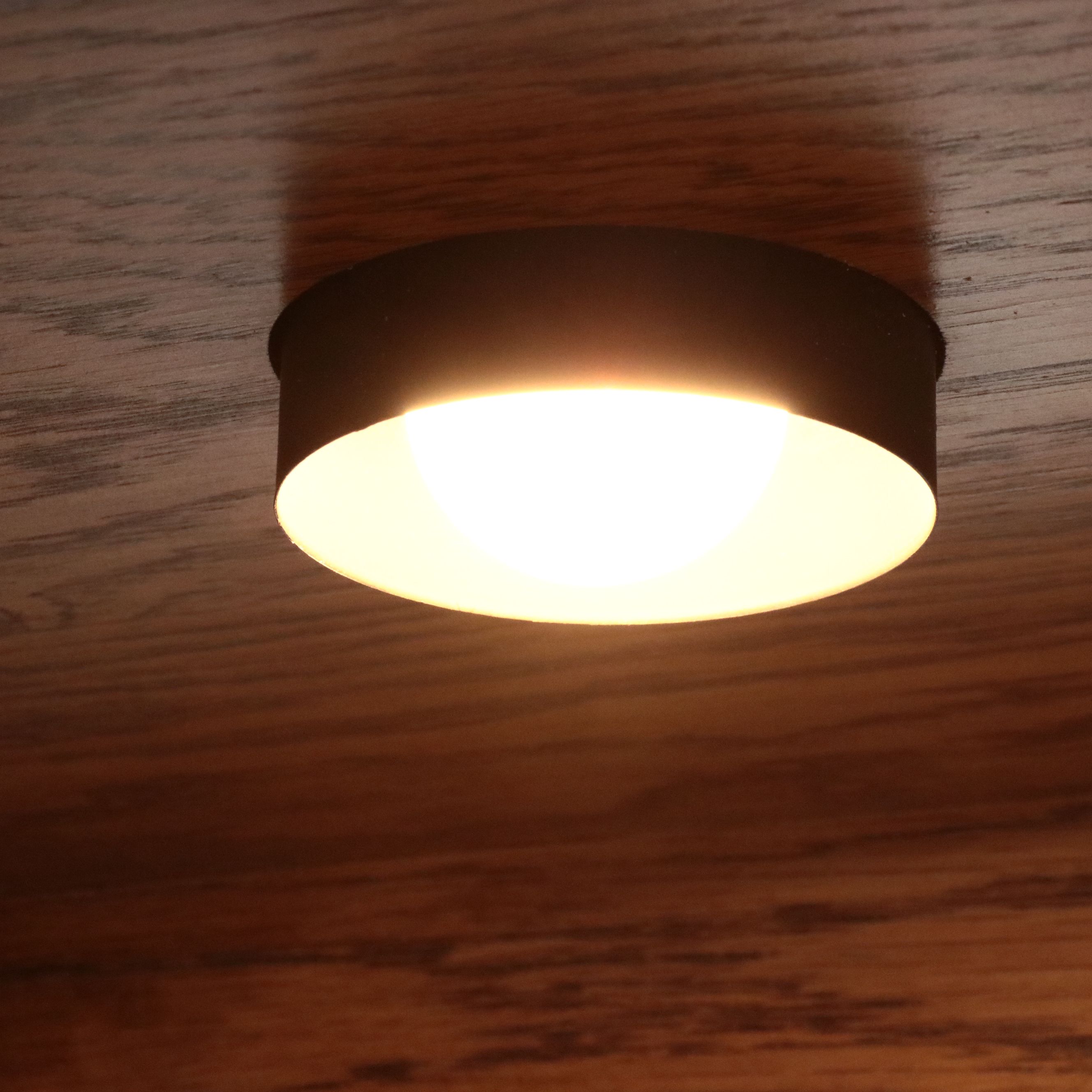 Victorian Style Carved Oak Display Case