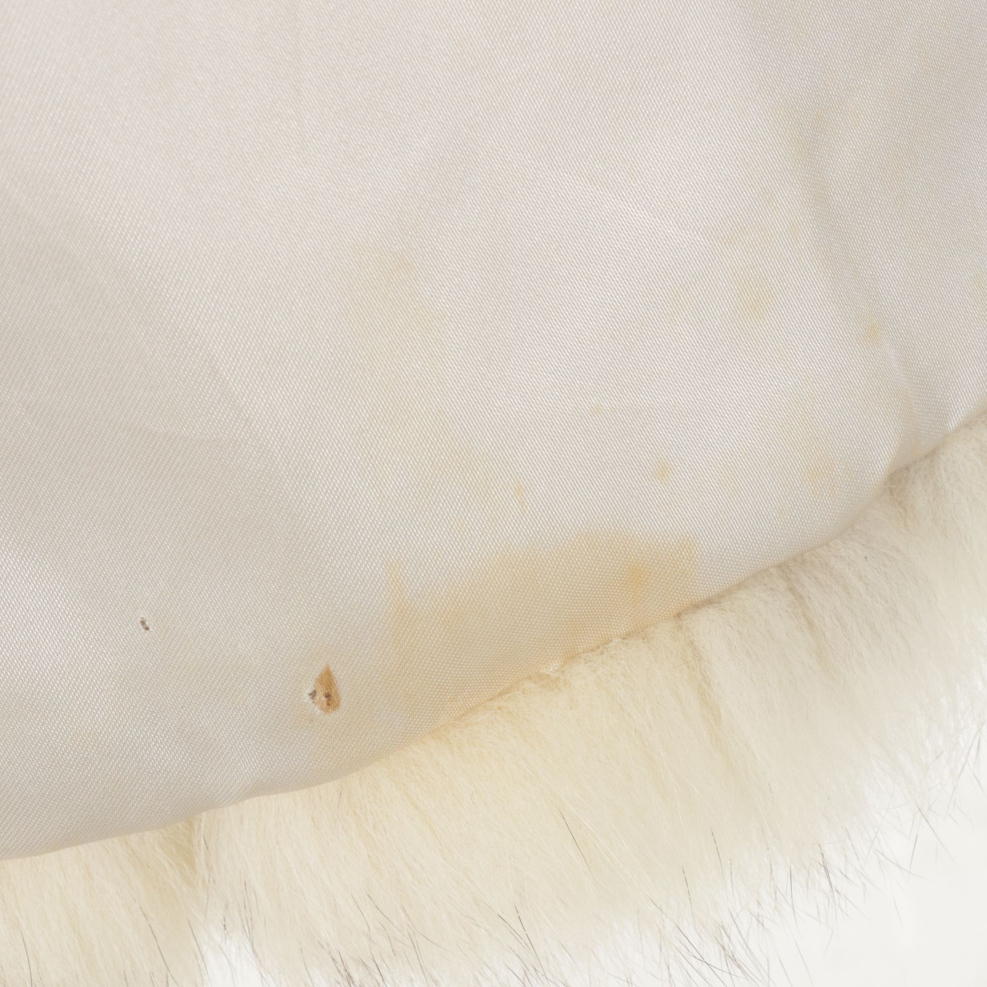 Full Skin Blue Fox Fur Stroller, Mid-Late 20th C.