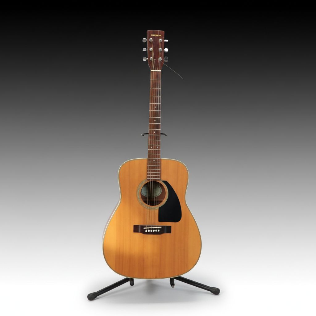 Eterna EF-21 Spruce Top Acoustic Guitar with Tolex Case, Late 20th Century