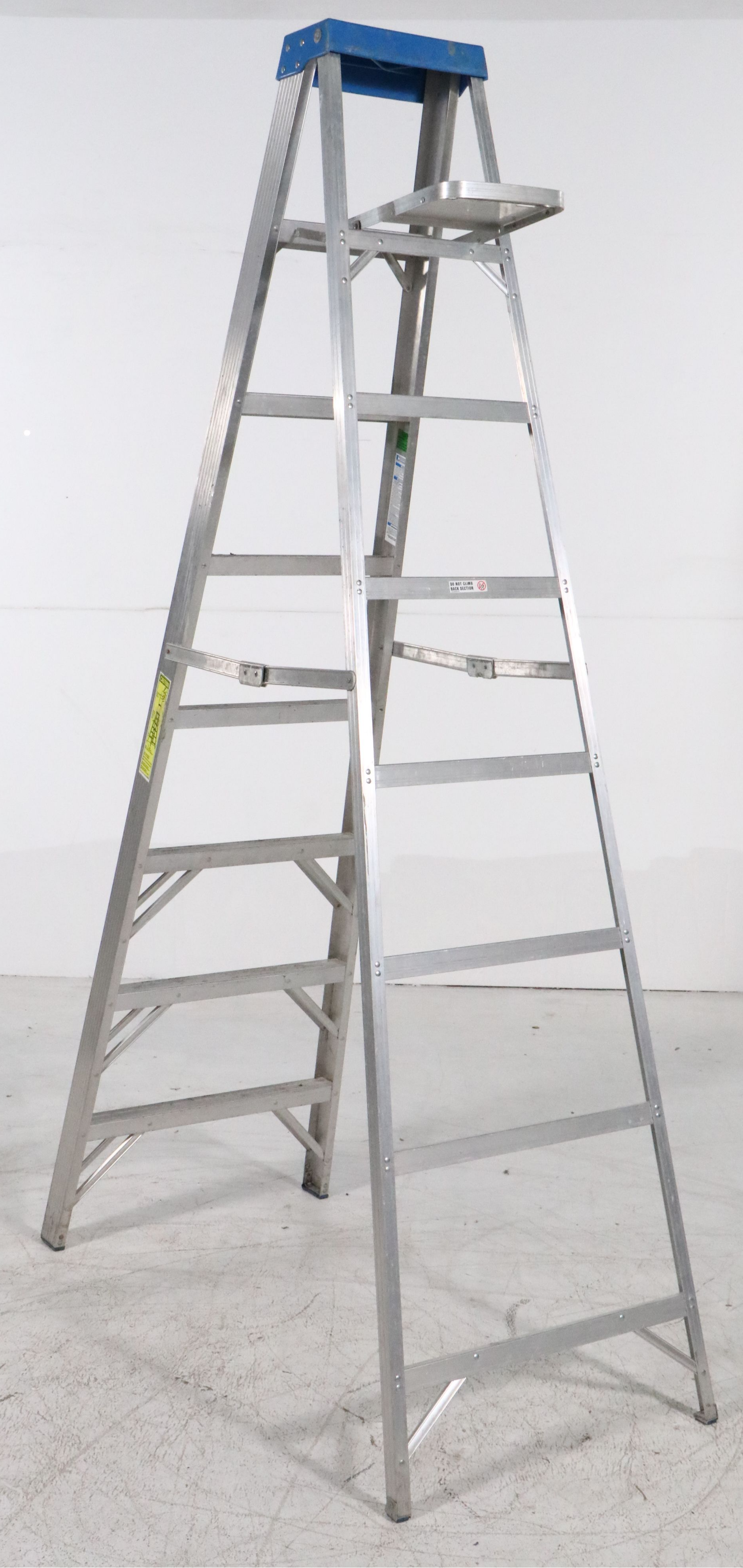 Werner 16' Extension Ladder and Werner 8' Step Ladder
