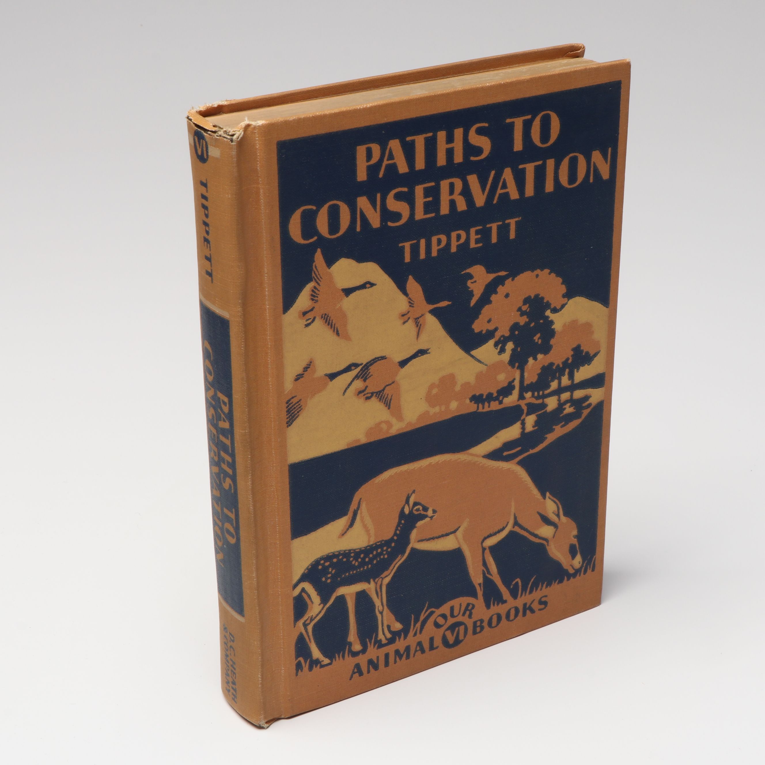 "Paths to Conservation" by James S. Tippett and Other Books
