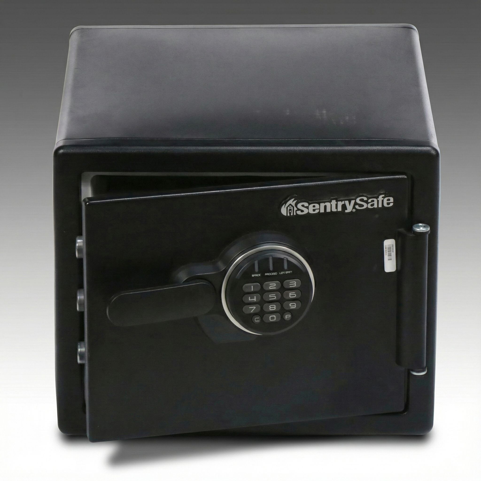 Sentry Safe Metal Safe