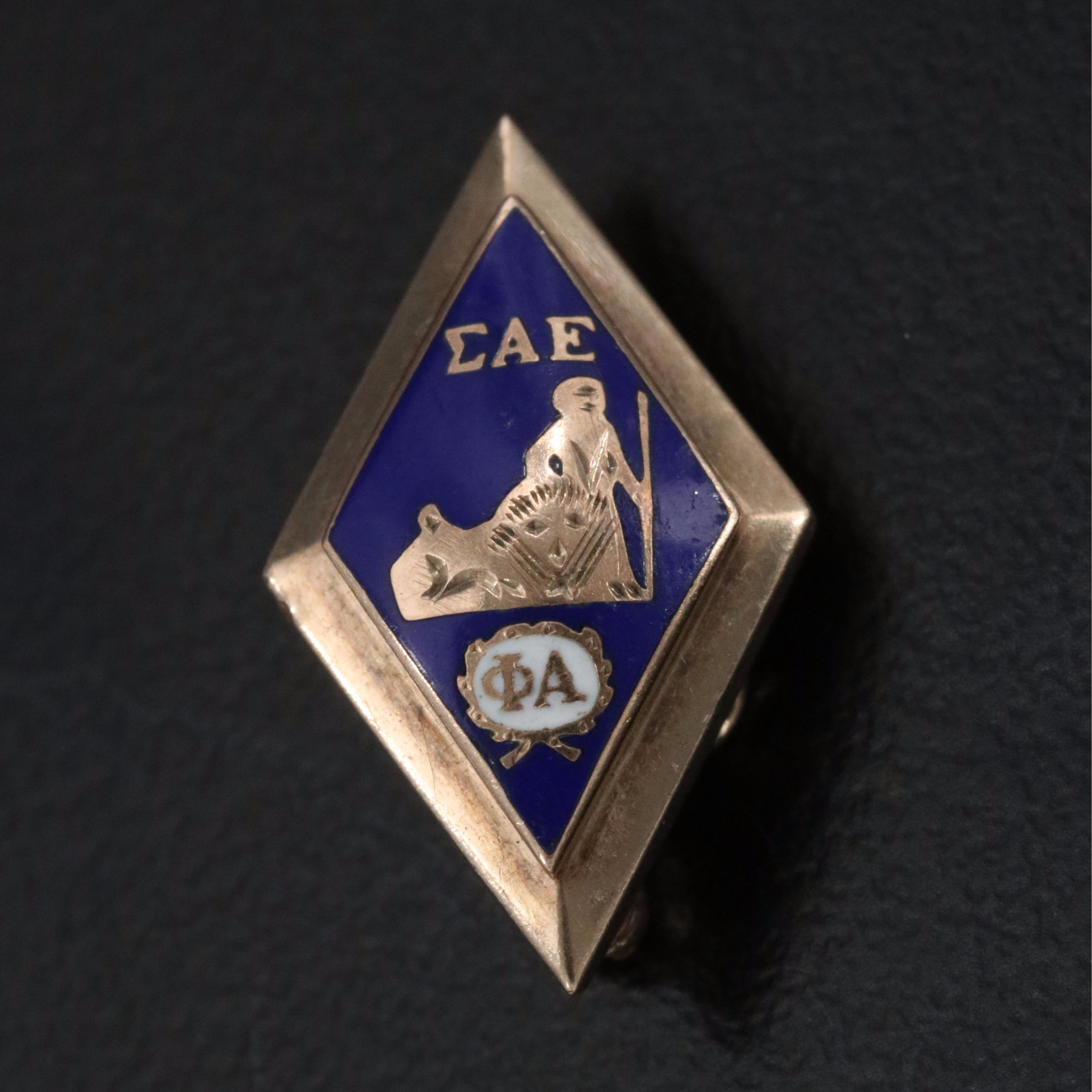 Vintage Fraternal 10K Enamel Sigma Alpha Epsilon Pin