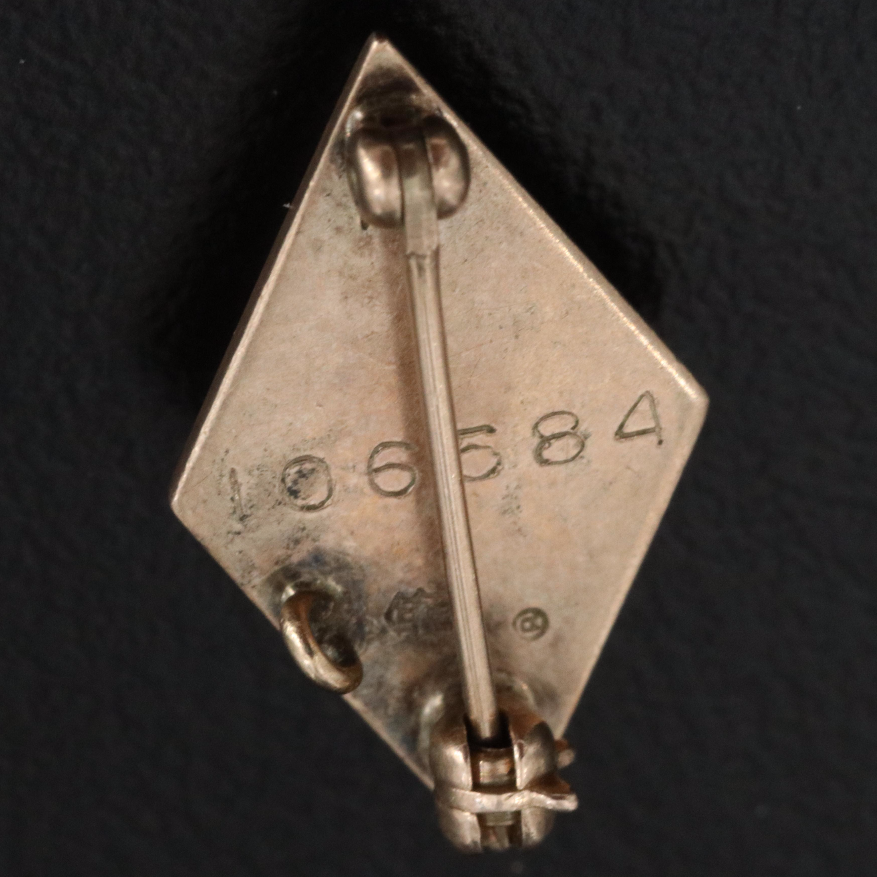 Vintage Fraternal 10K Enamel Sigma Alpha Epsilon Pin