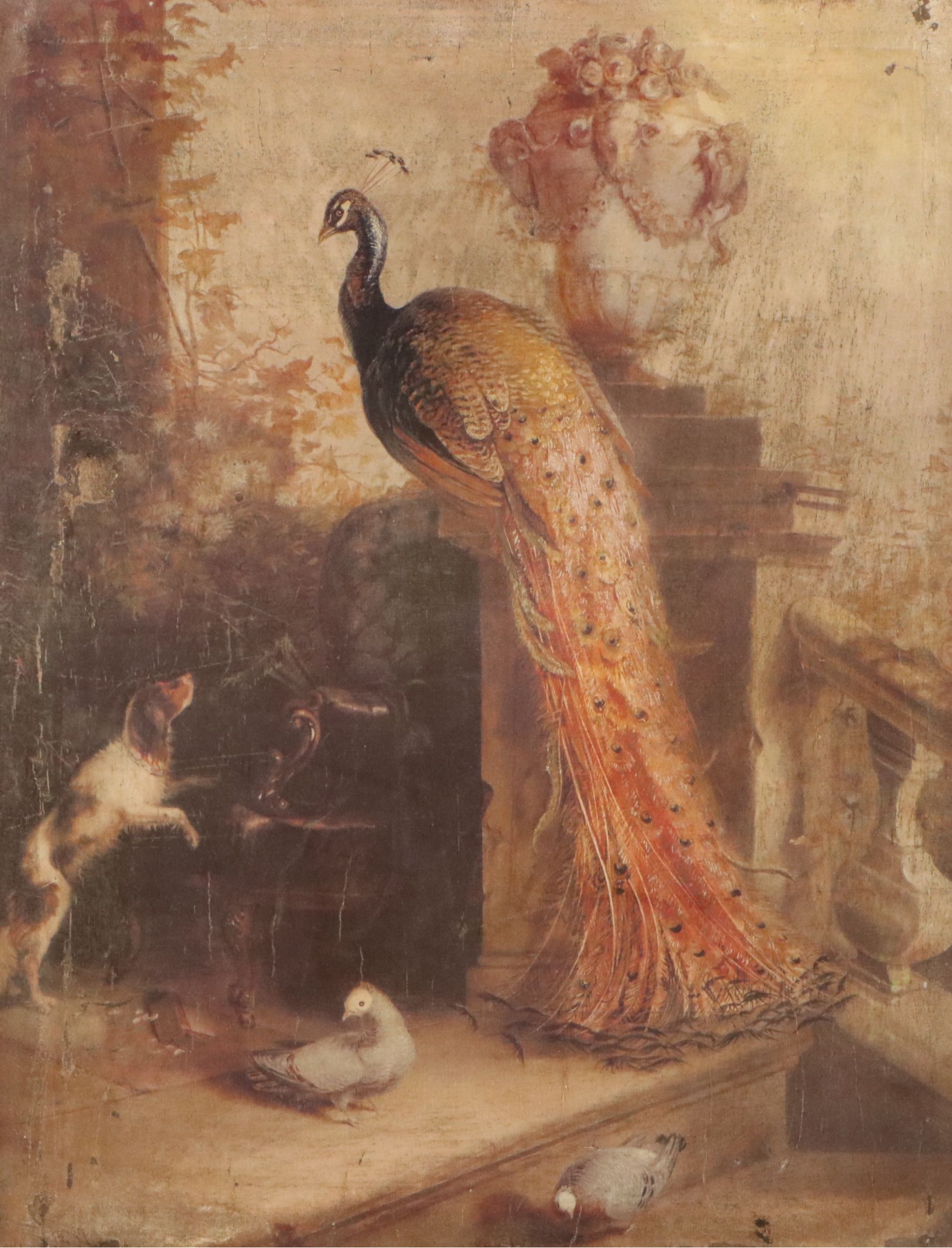 Offset Lithograph of Peacock, Dog and Pigeons in Interior Scene