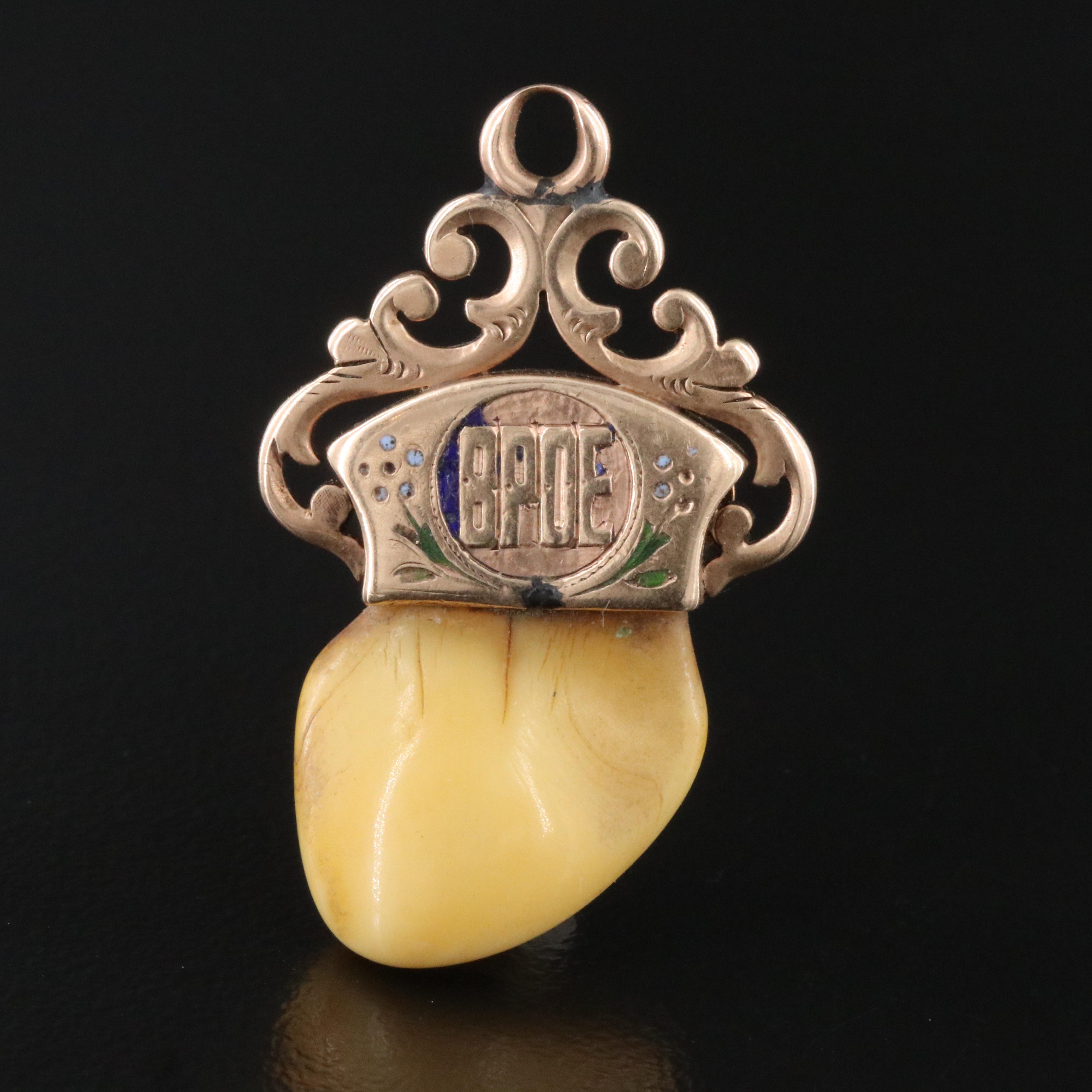 Antique Benevolent & Protective Order of Elks 10K Enamel & Elk Tooth Fob Charm