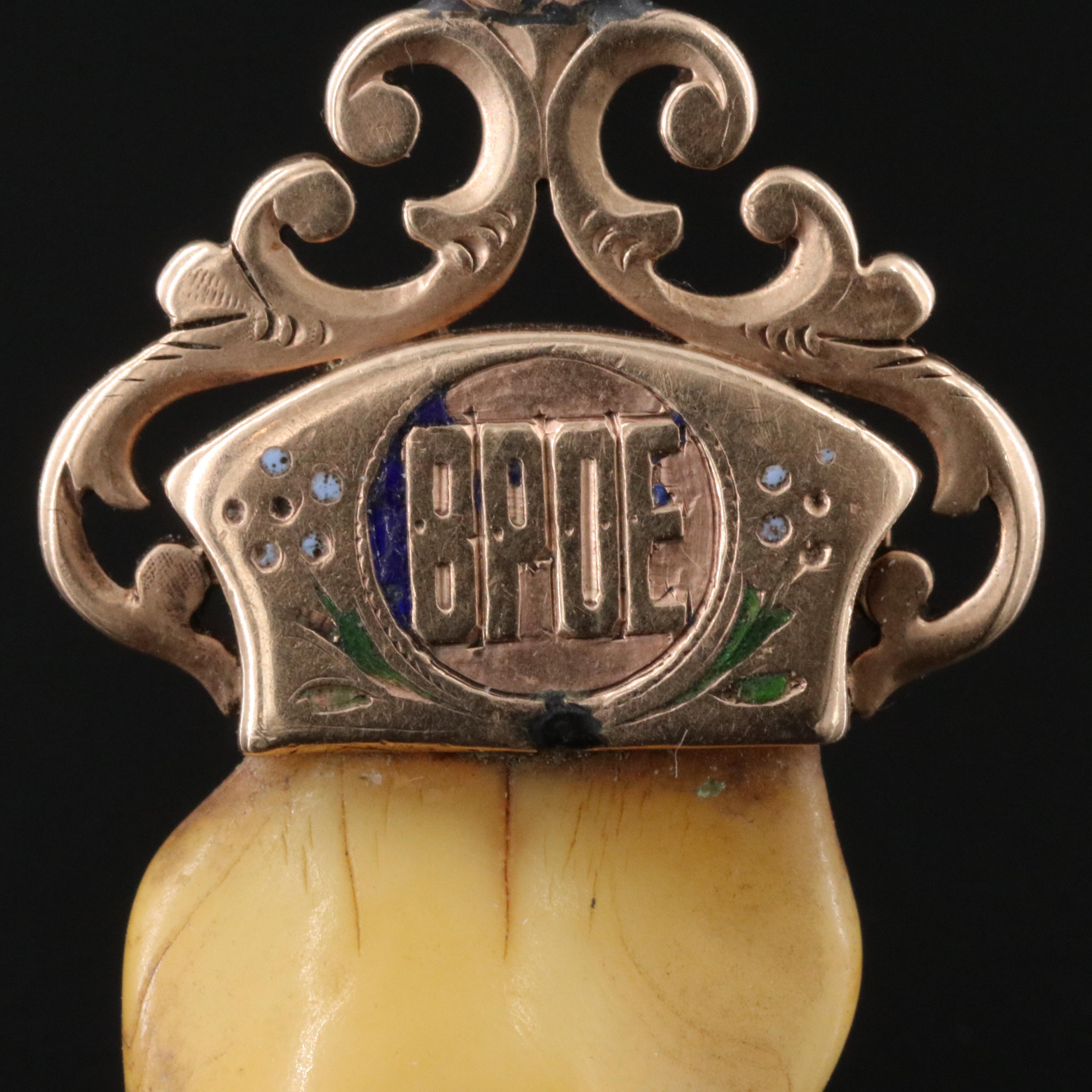 Antique Benevolent & Protective Order of Elks 10K Enamel & Elk Tooth Fob Charm