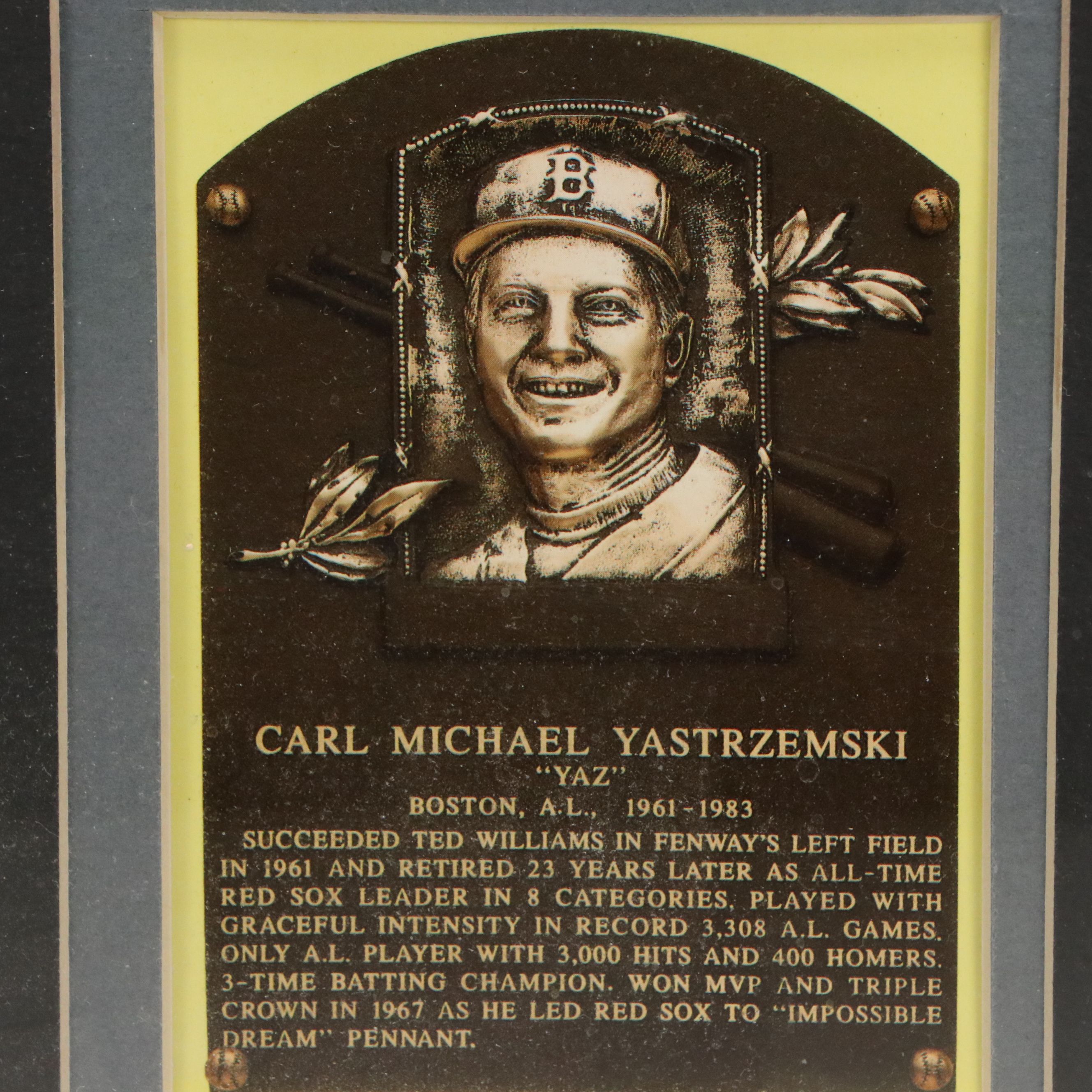 Carl Yastrzemski, Cool Papa Bell, and More Cut Signatures with Displays