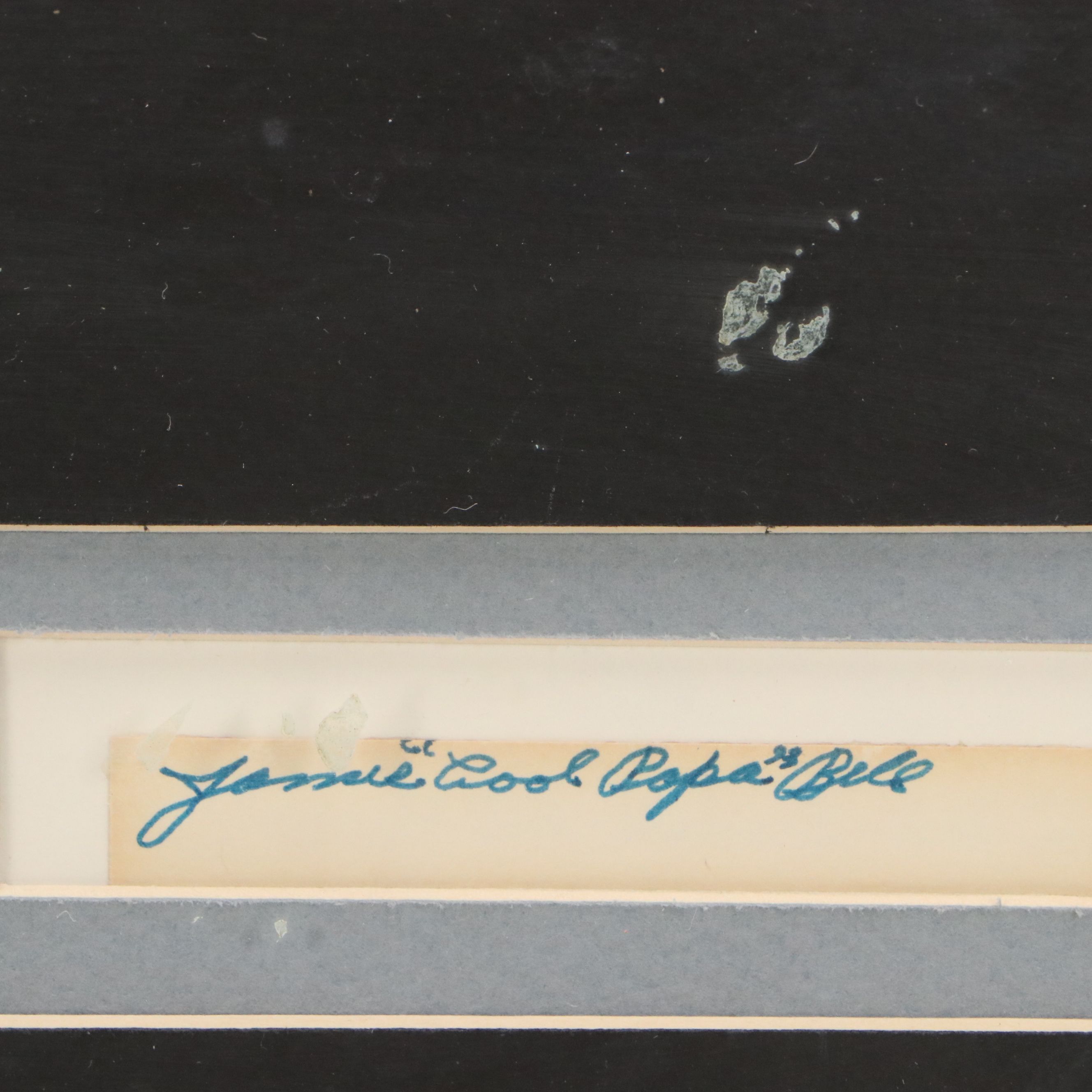 Carl Yastrzemski, Cool Papa Bell, and More Cut Signatures with Displays