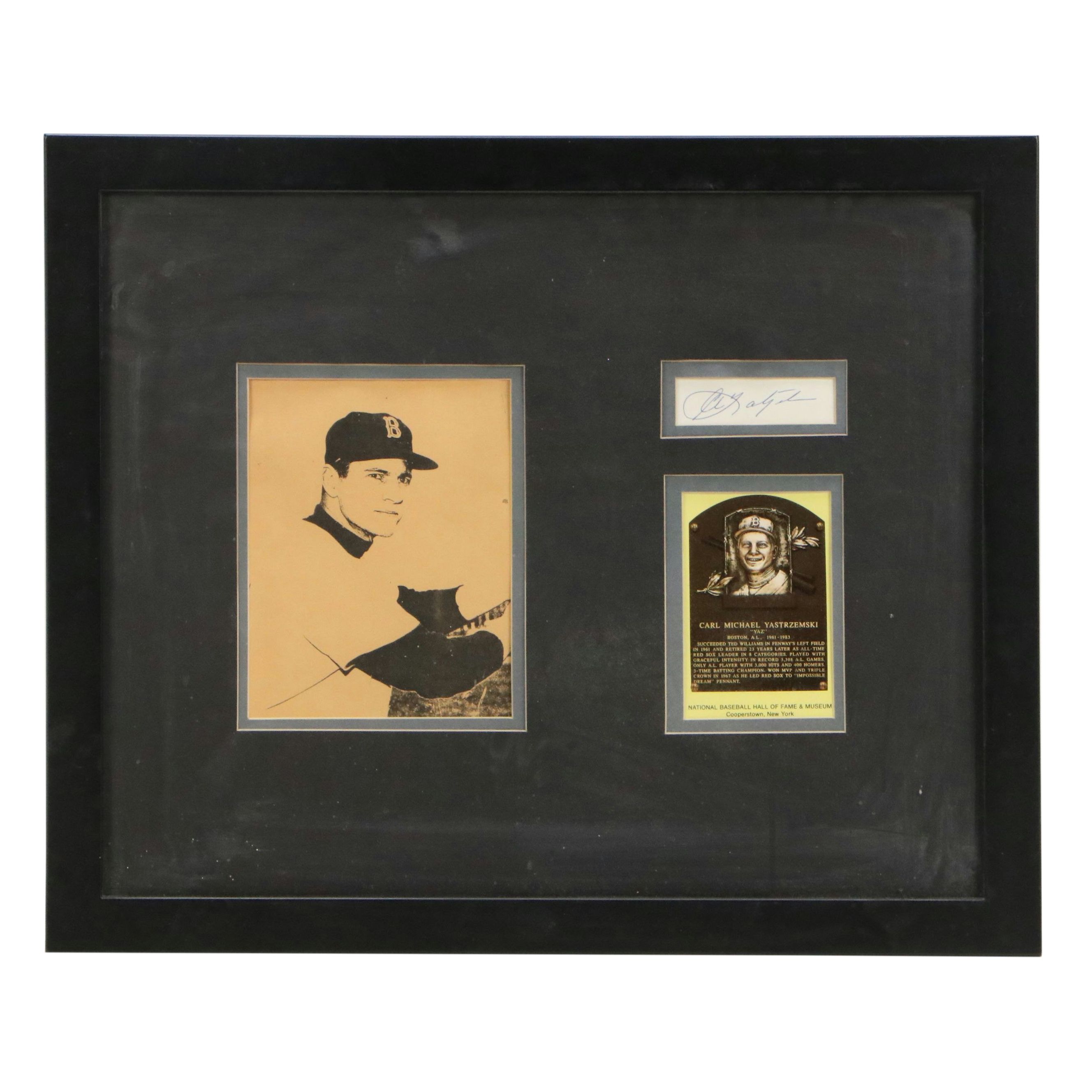 Carl Yastrzemski, Cool Papa Bell, and More Cut Signatures with Displays