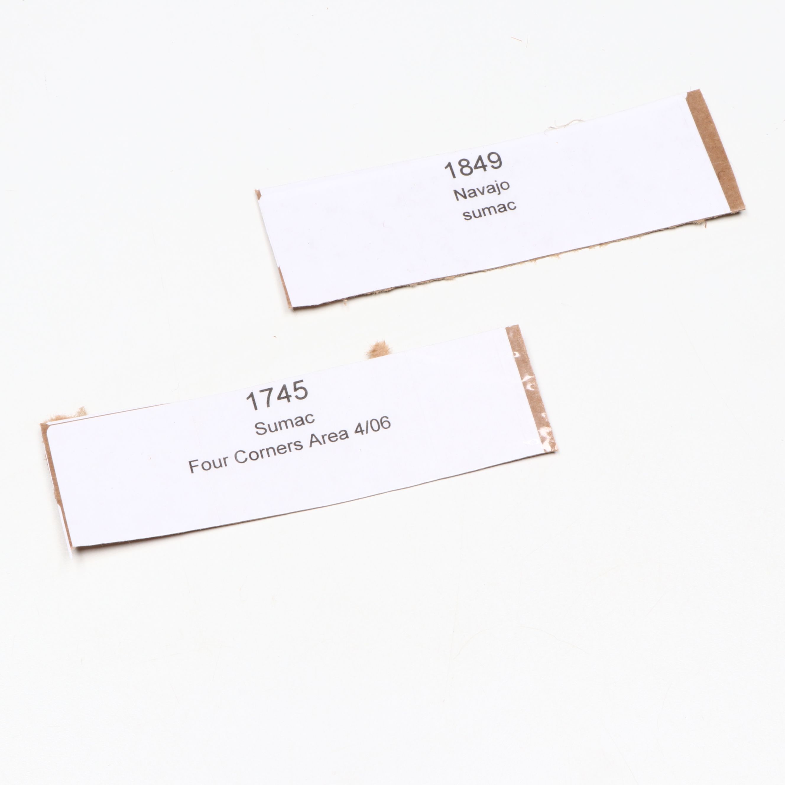 Diné (Navajo) Handwoven Figural Sumac Baskets