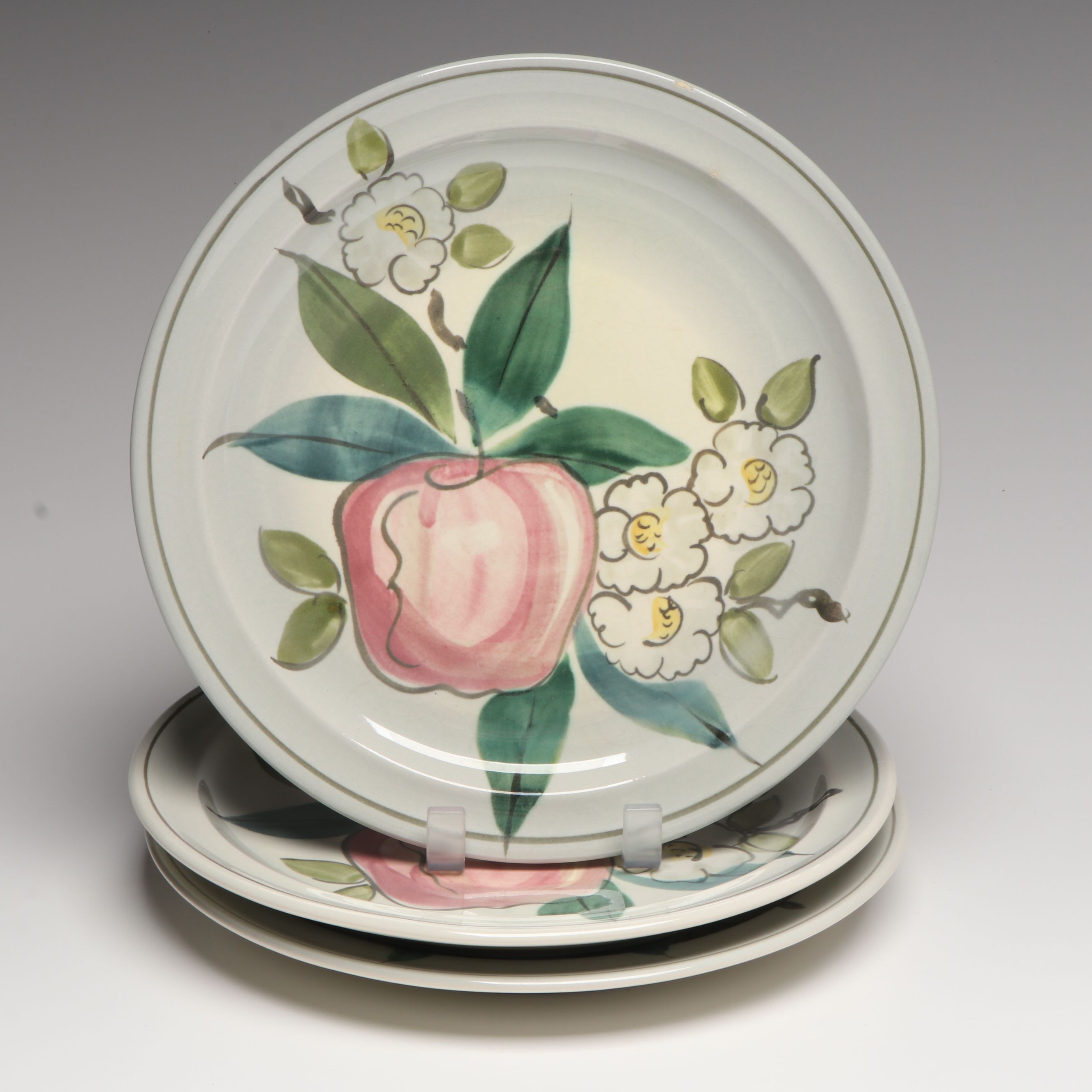 Red Wing Pottery Hand-Painted Dinnerware