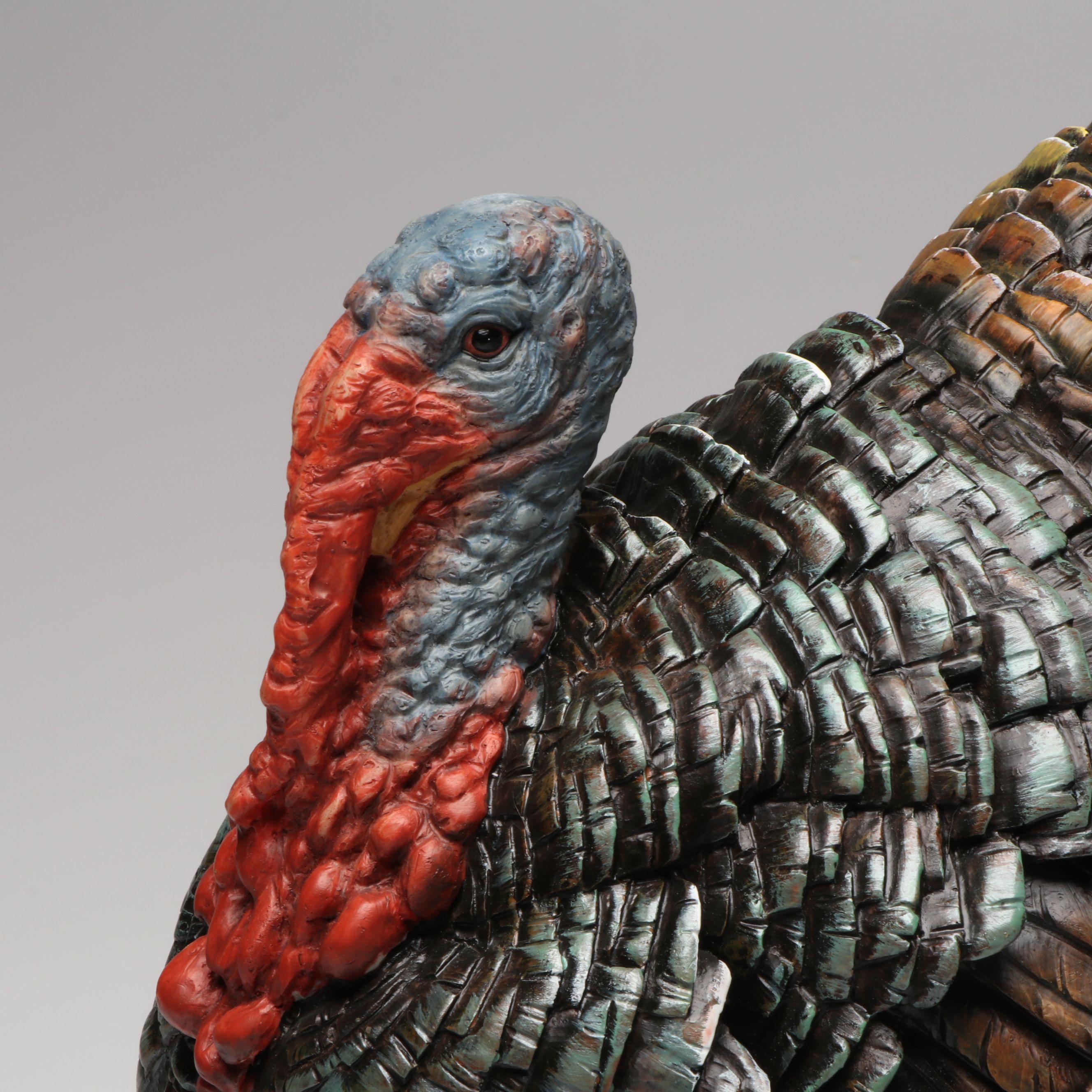 Large Thanksgiving Turkey