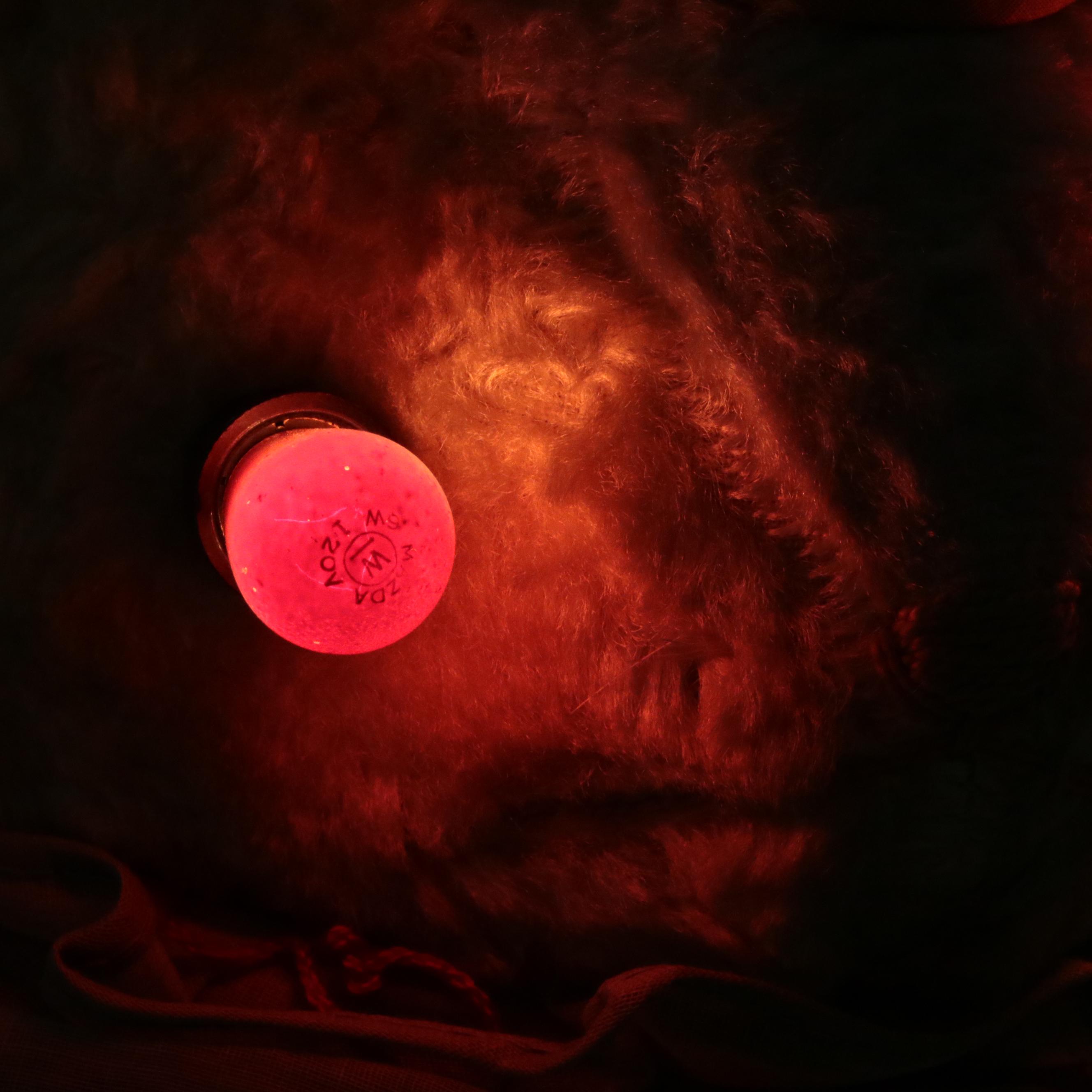 Patriotic Plush Rabbit with Illuminating Eyes