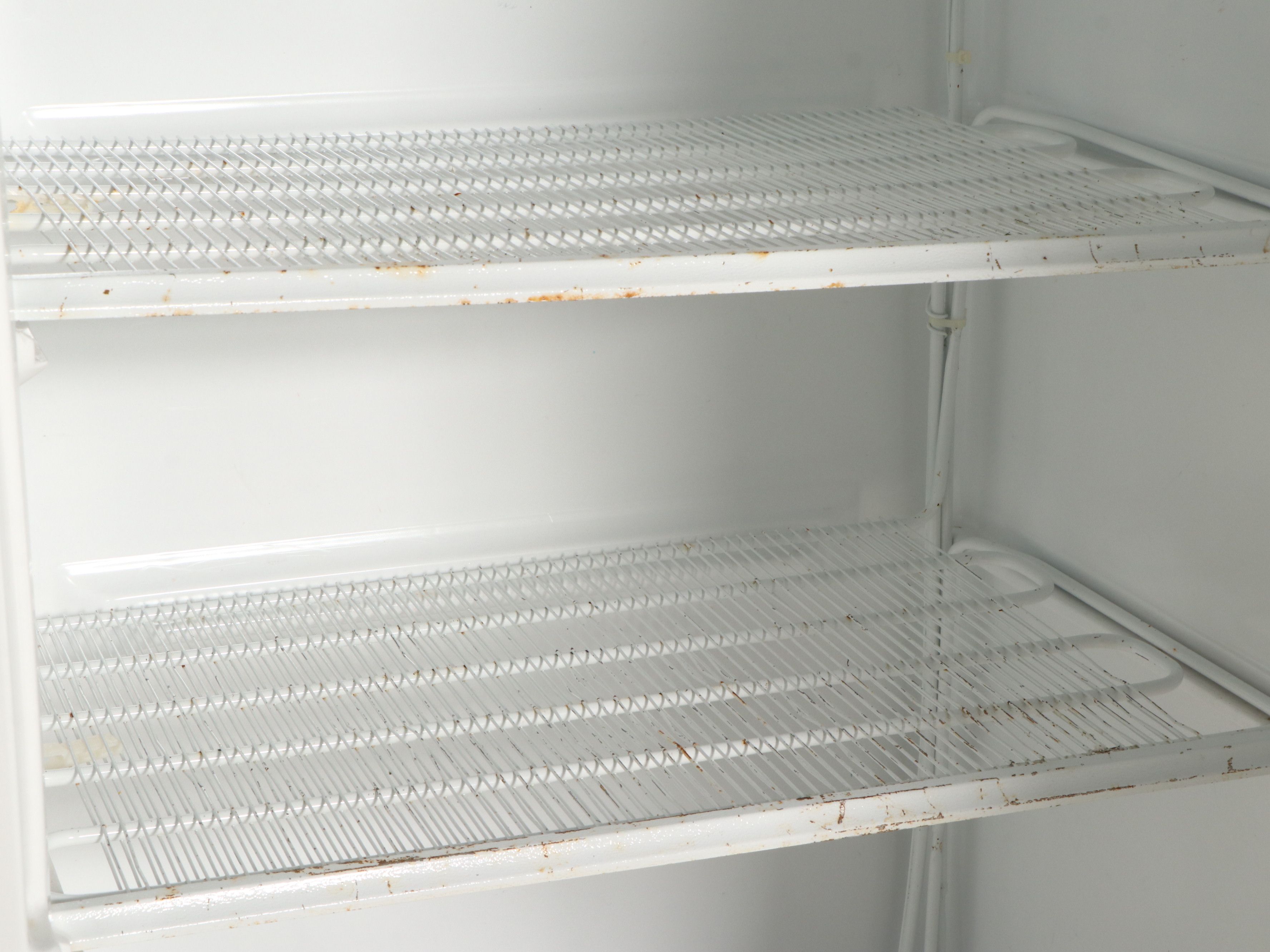 Woods White Upright Freezer