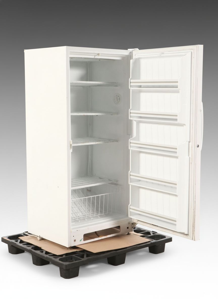 Woods White Upright Freezer