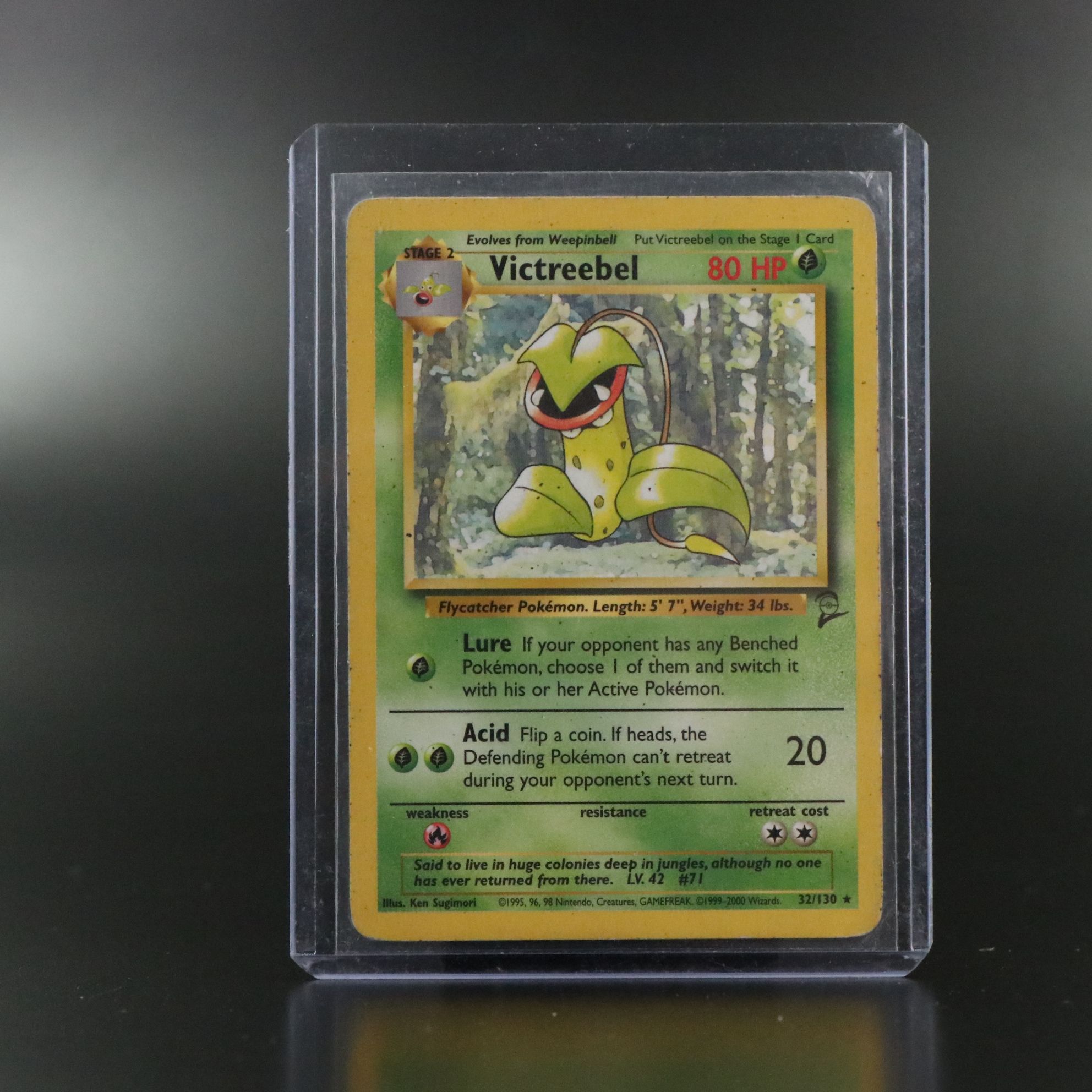 Holographic Base Set Gyarados and Other Pokémon Trading Cards, 1999-2000