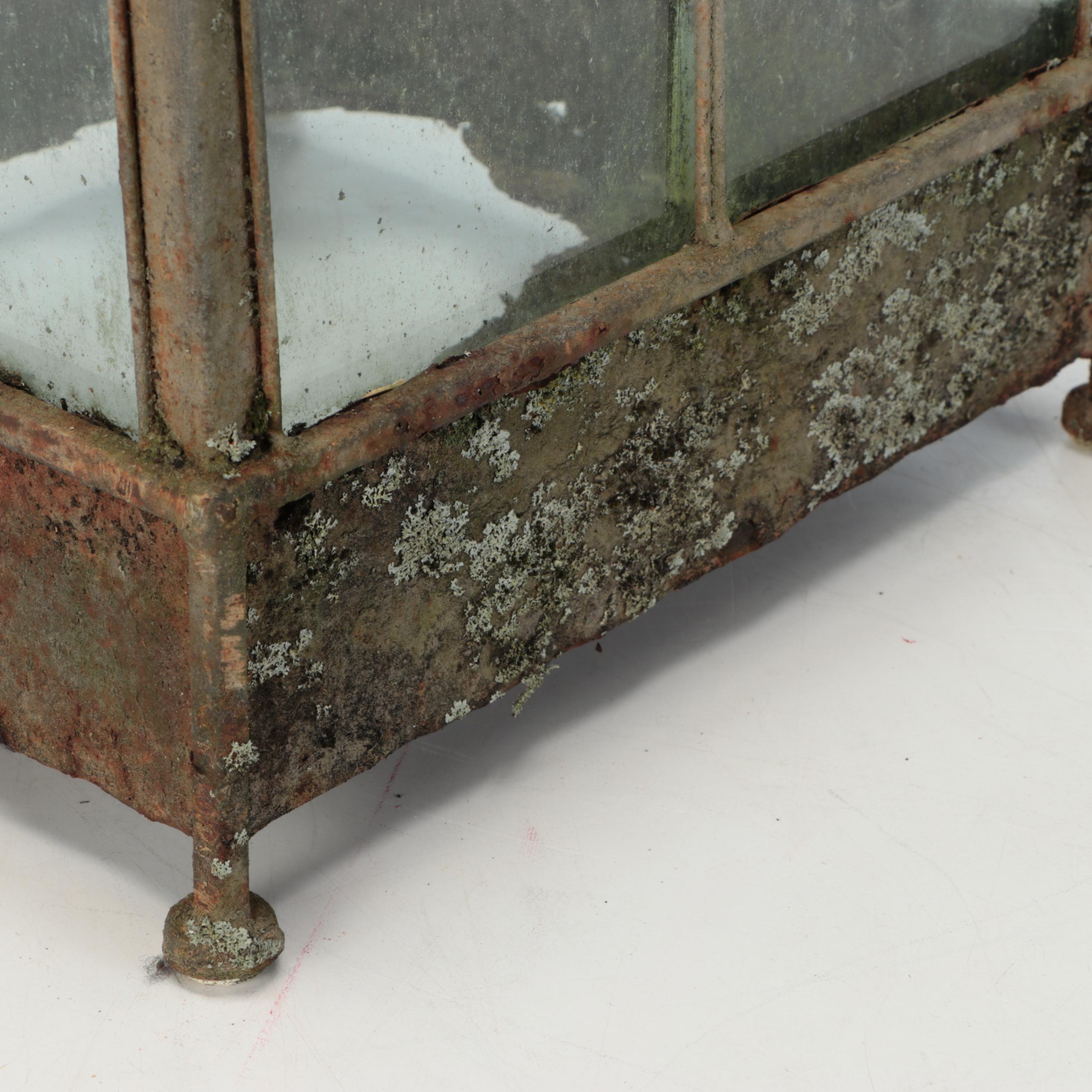 Metal Framed Terrarium