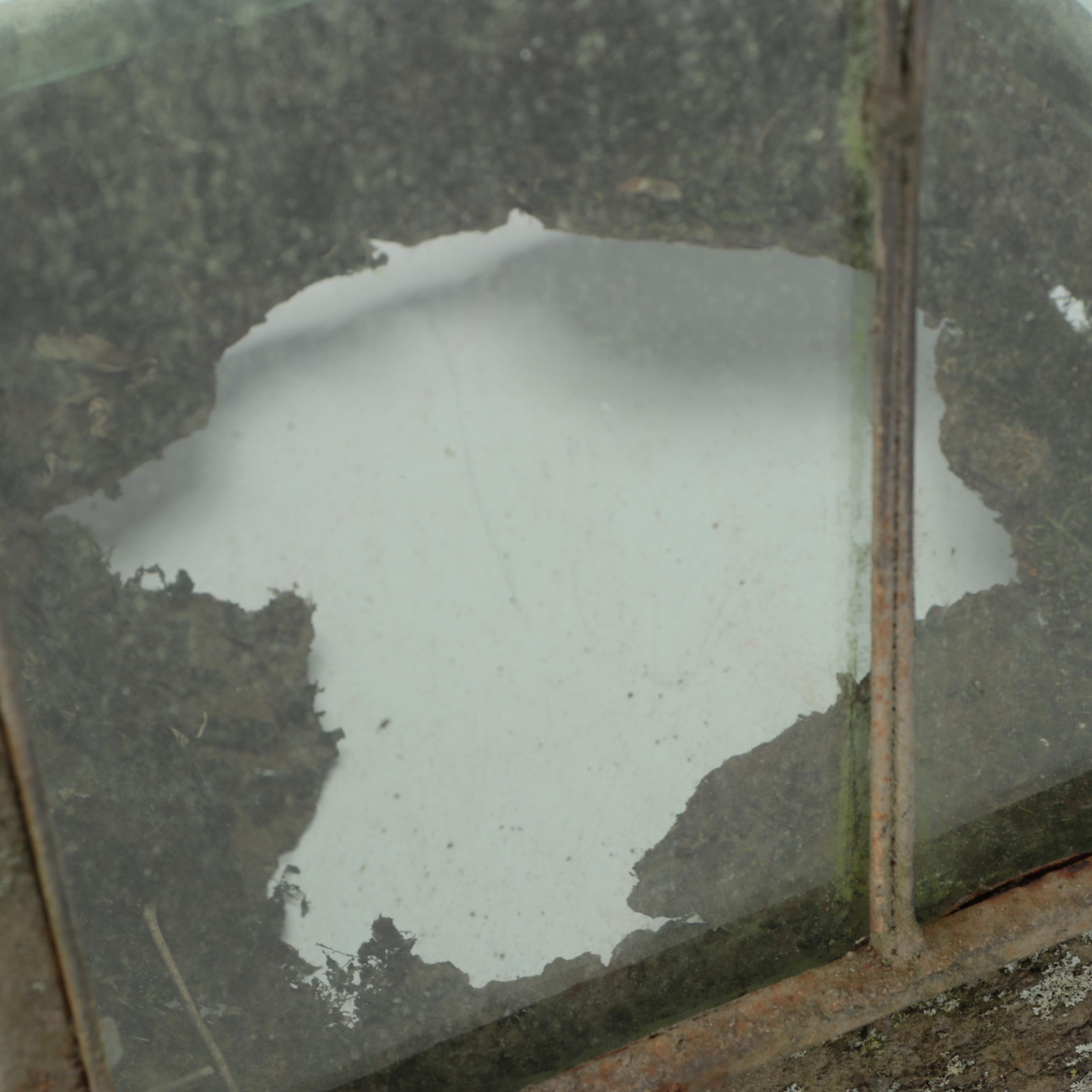 Metal Framed Terrarium