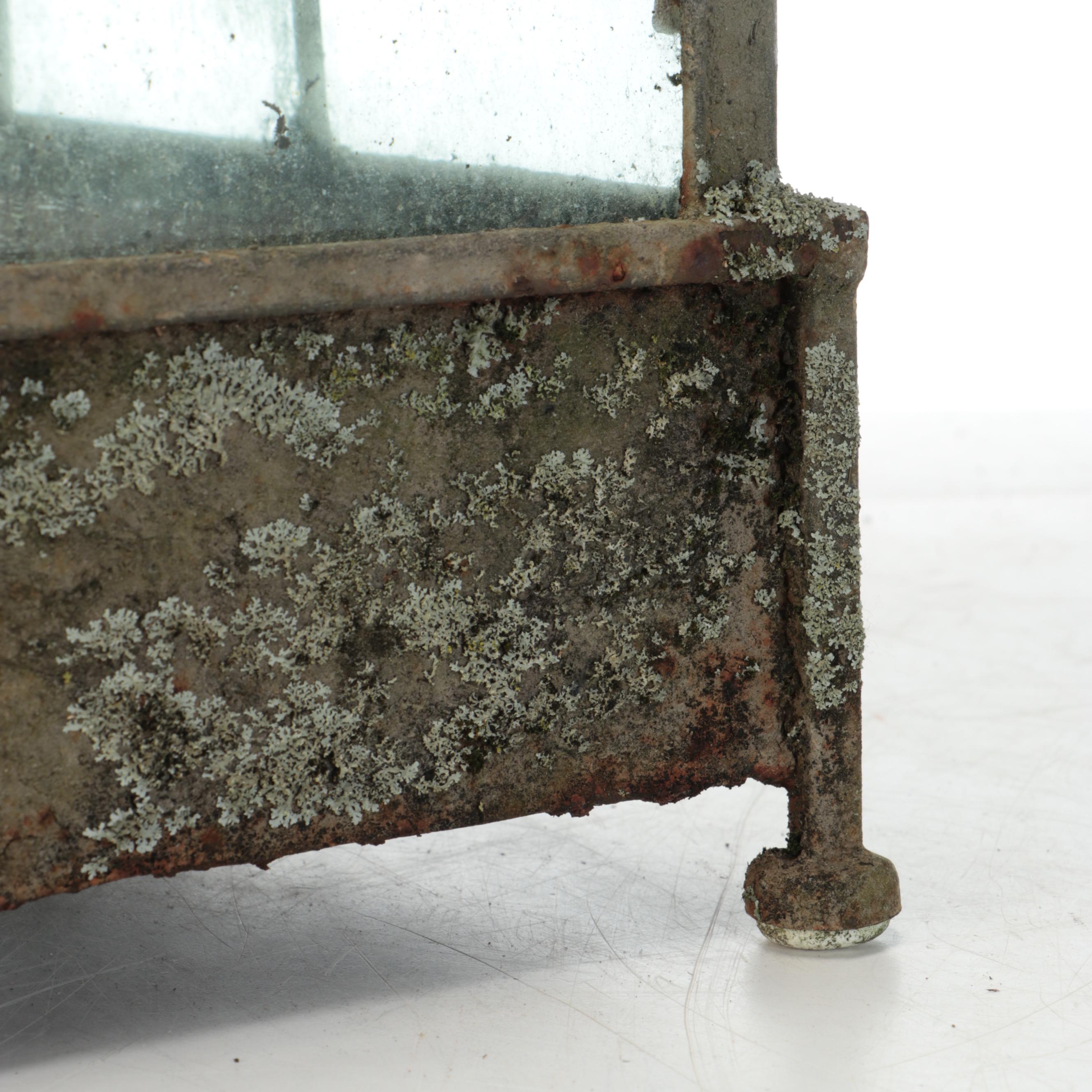 Metal Framed Terrarium