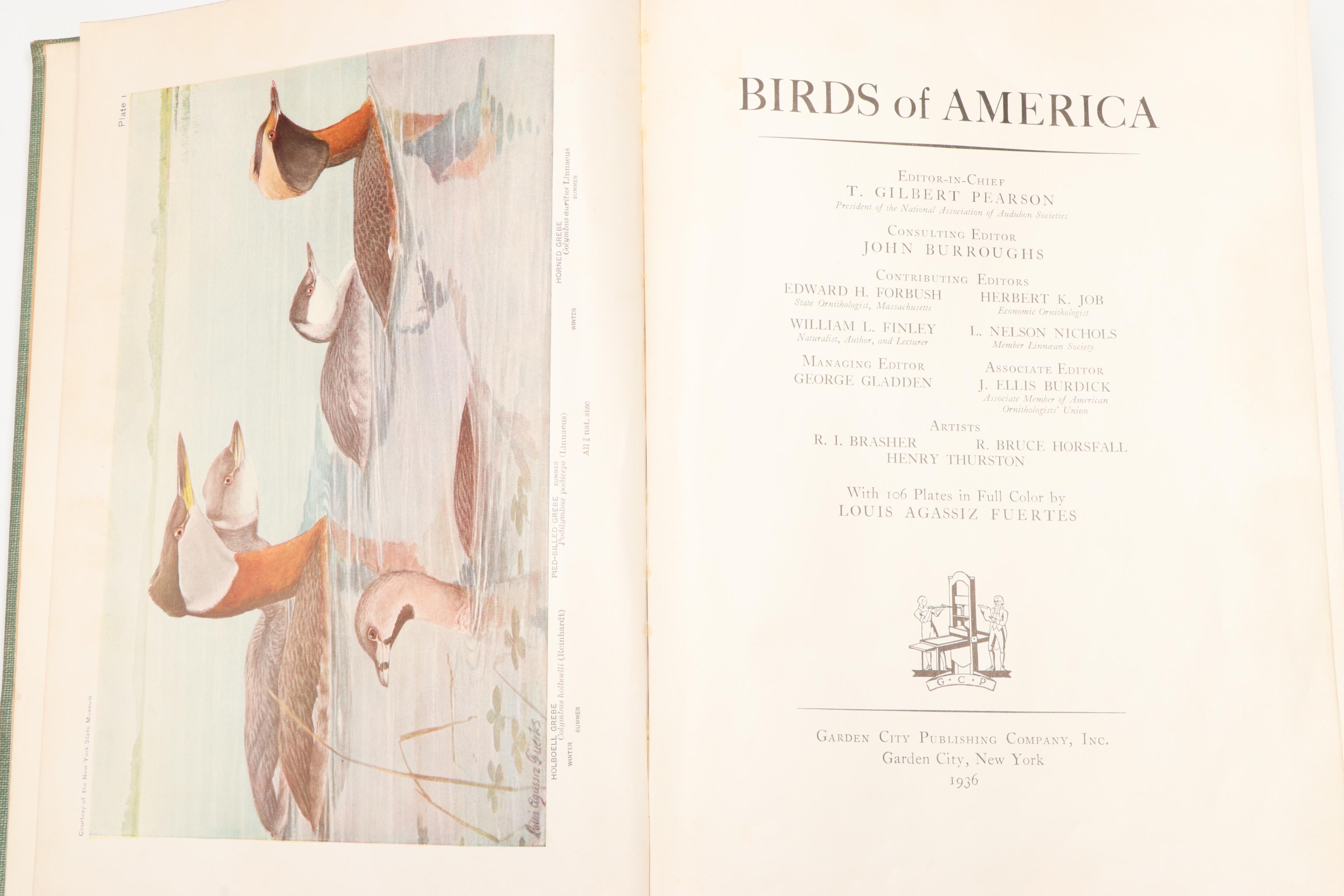 Illustrated "Birds of America" by T. Gilbert Pearson, 1936