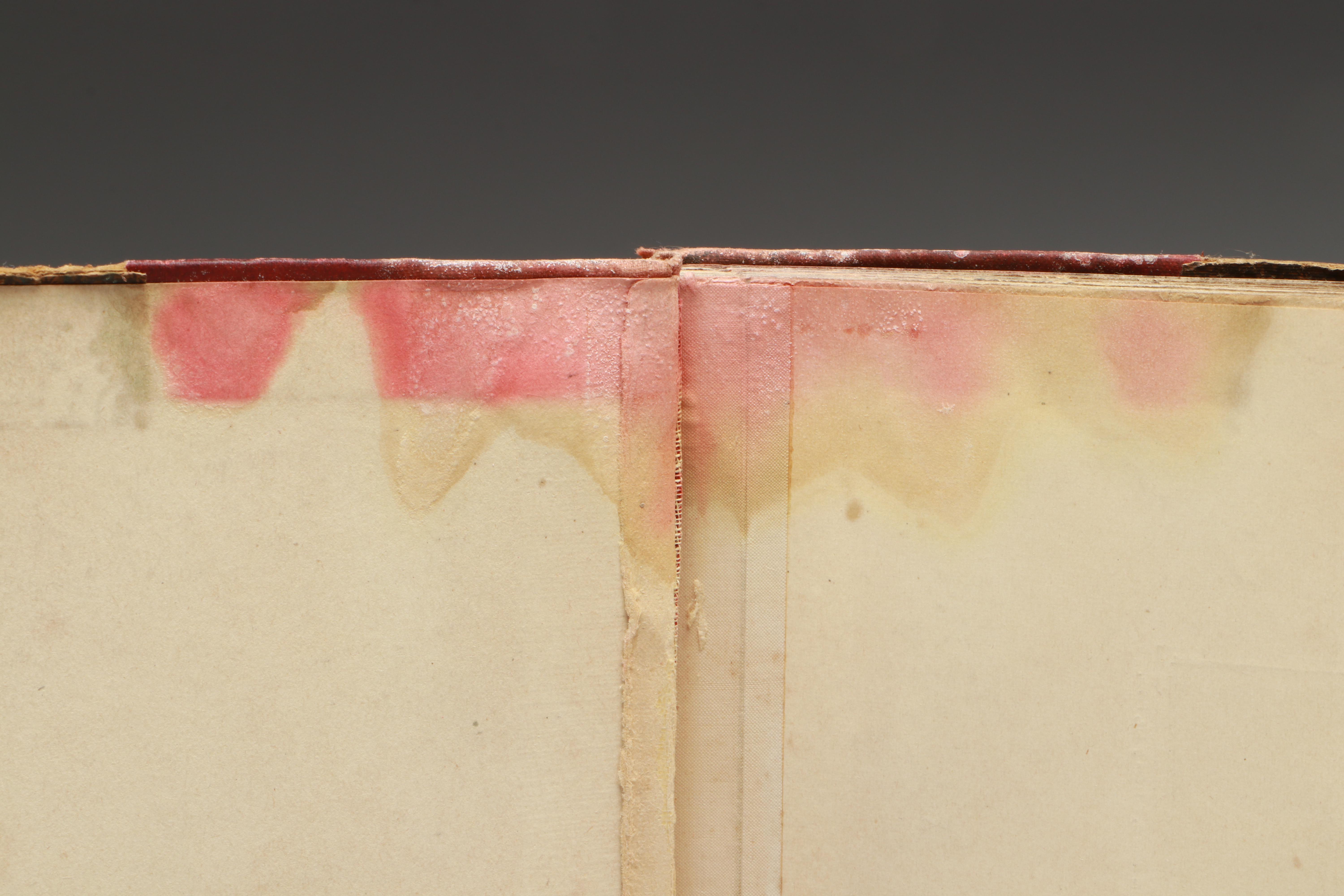 "The Art of the World" Book Series for the World's Colombian Exposition, 1894